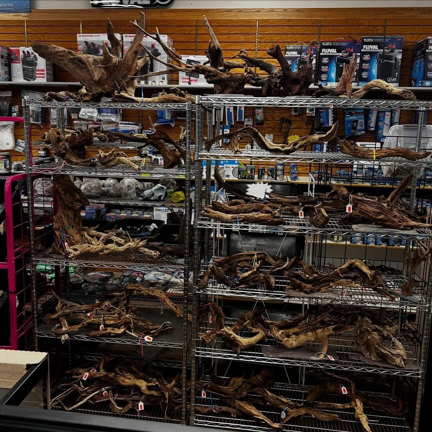 Looking for that perfect centerpiece?  You&rsquo;re in luck ! Huge selection of driftwood available! Don&rsquo;t be afraid to let nature take over 🌿🪵🪾

Ridgemont Plaza -585.225.8700
Country Club-585.381.3870. 

#Lfs #driftwood #aquarium #aquariumh