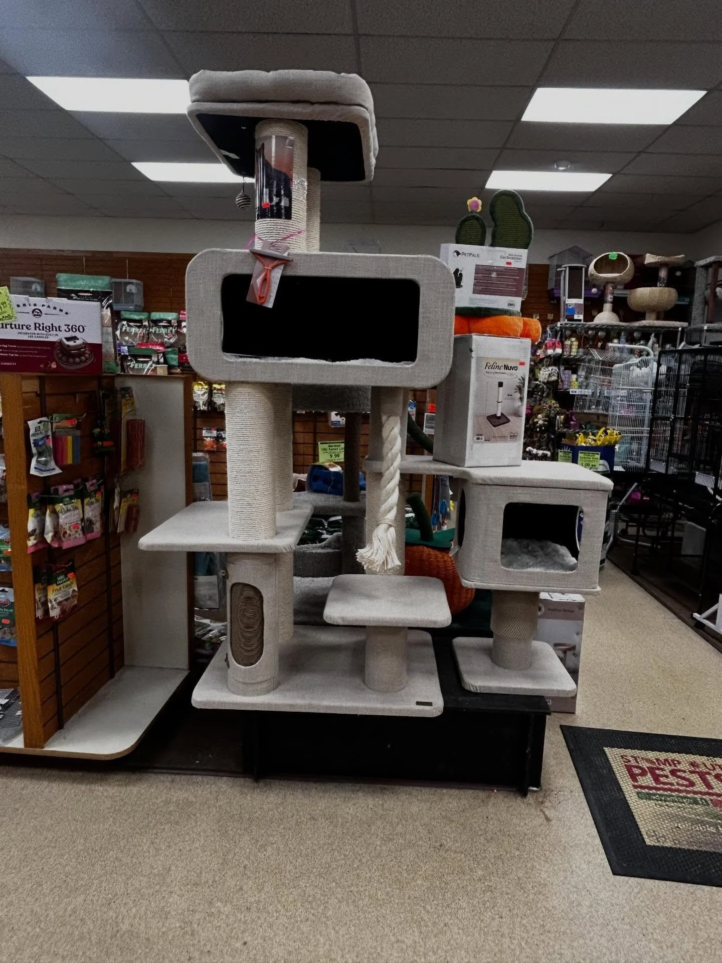 Come on down and find the purrr-fect post your furry friend! 🐱🐈😸
Ridgemont Plaza -585.225.8700
Country Club-585.381.3870. 
#cattoys #catpost