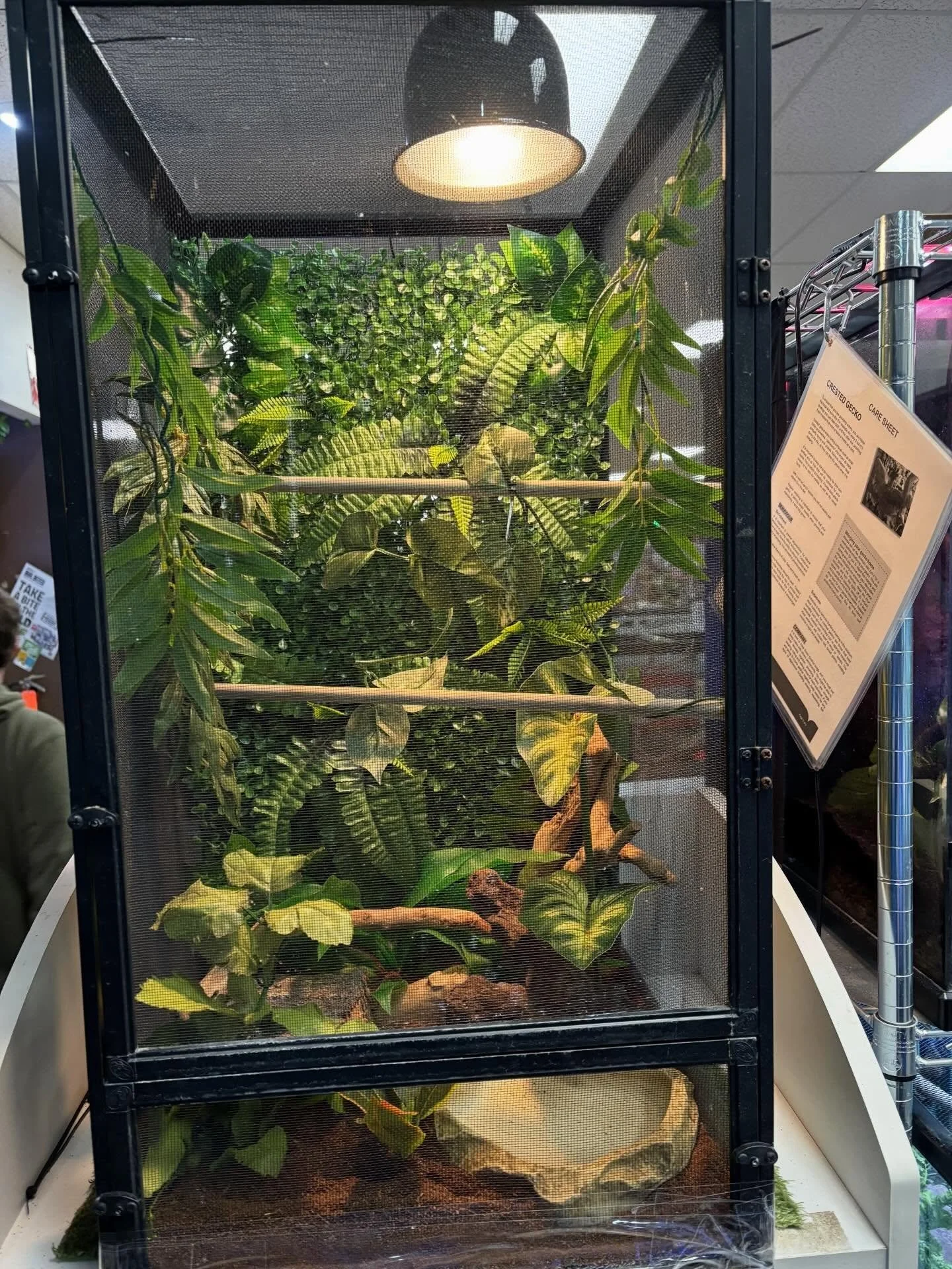 Guess who&rsquo;s coming to the store soon&hellip; 

#guesswho