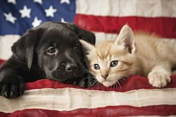 Happy Memorial Day ! 🇺🇸
We are open 9-5 for the holiday but we&rsquo;ll be back to normal hours on Tuesday !