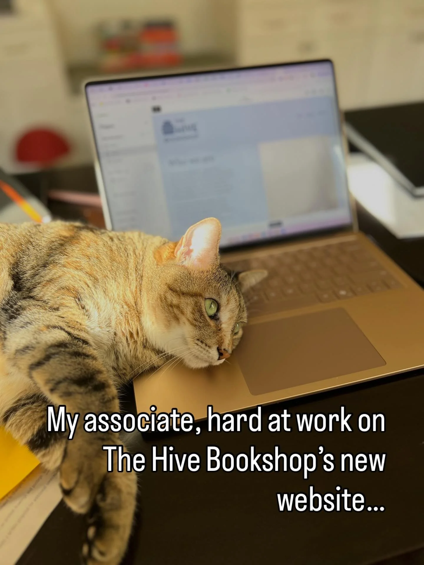 We are working hard behind the scenes to get everything in place here at The Hive Bookshop. More very soon about how you can support our shop as we head into the holiday season!

#indiebookstores #knoxville #thehivebookshop