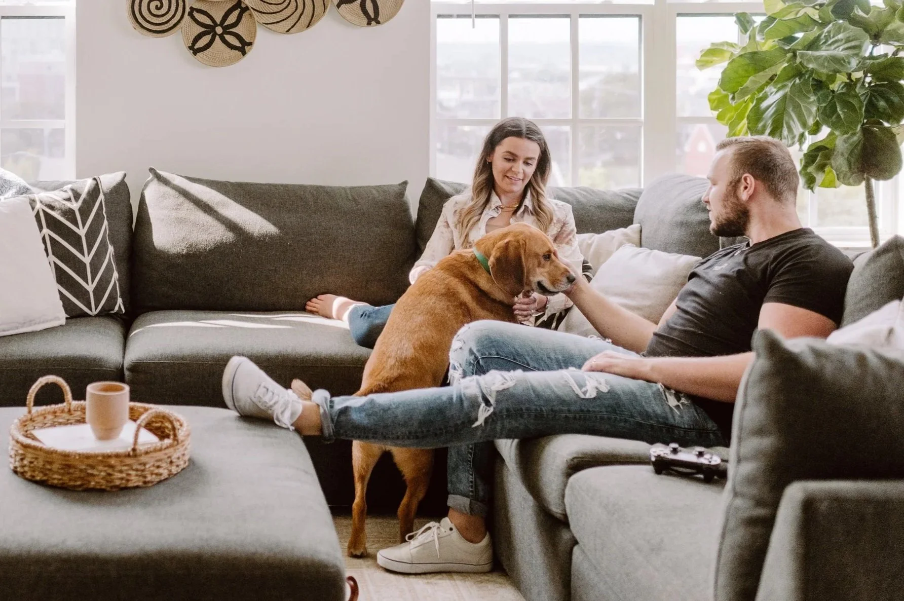A couple sitting on a gray sectional sofa in a living room, playing with a brown dog. The woman has light brown hair and is wearing a light-colored shirt, and the man has short hair, a beard, and a black shirt. There are large windows behind them, letting in natural light, and a potted plant is in the corner. The living room has decorative pillows and a basket with a mug. The dog appears to be a Labrador Retriever.