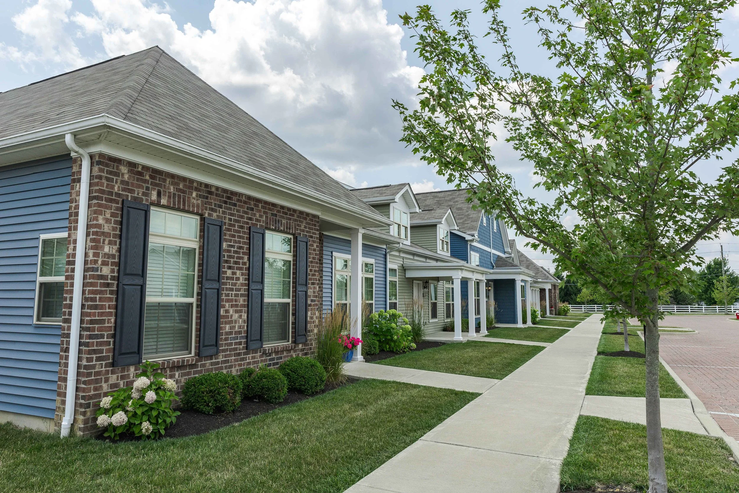 Row of modern suburban houses with brick and blue siding, front lawns, young trees, and a sidewalk on a partly cloudy day.