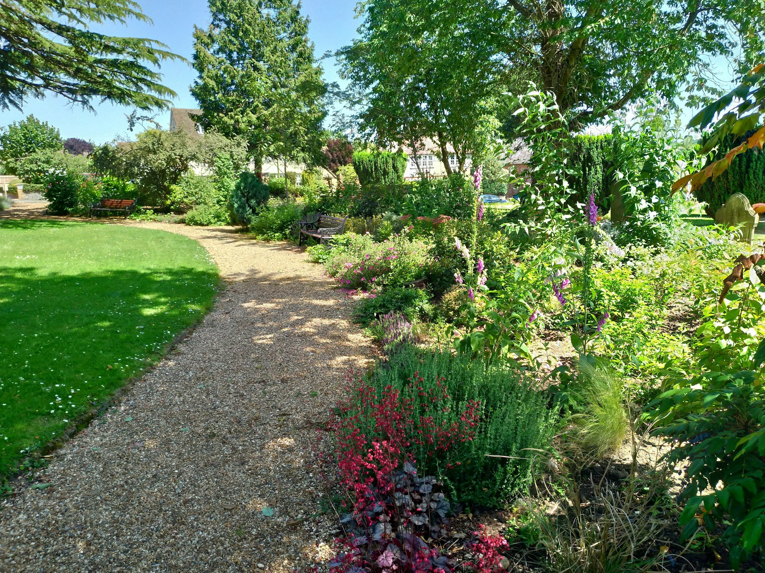 A lush garden with a gravel path, benches, trees, and vibrant flowering plants under a bright blue sky.