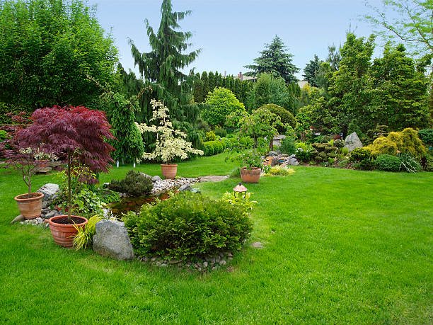 A lush, well-manicured garden with various trees, shrubs, and potted plants, along with a small pond or water feature, surrounded by green grass and foliage.