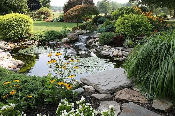 A landscaped garden with a small pond featuring water lilies, surrounded by rocks and lush greenery, with a little waterfall, flowers, bushes, and trees in the background.
