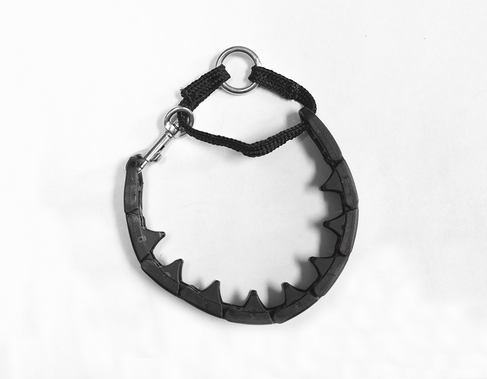 starmark collar 8.png