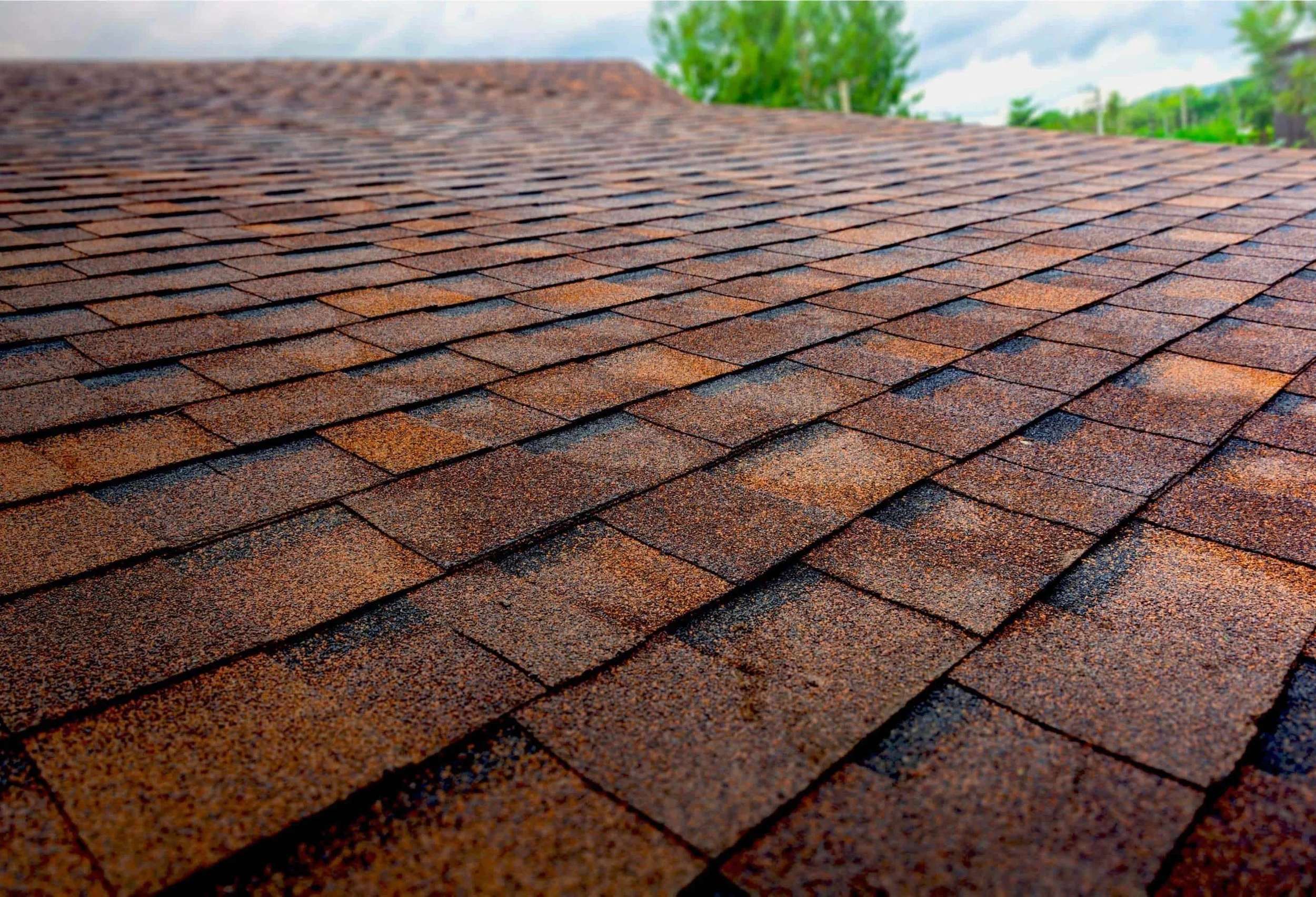 Close-up of a roof with brown asphalt shingles, with some green trees and a cloudy sky in the background.