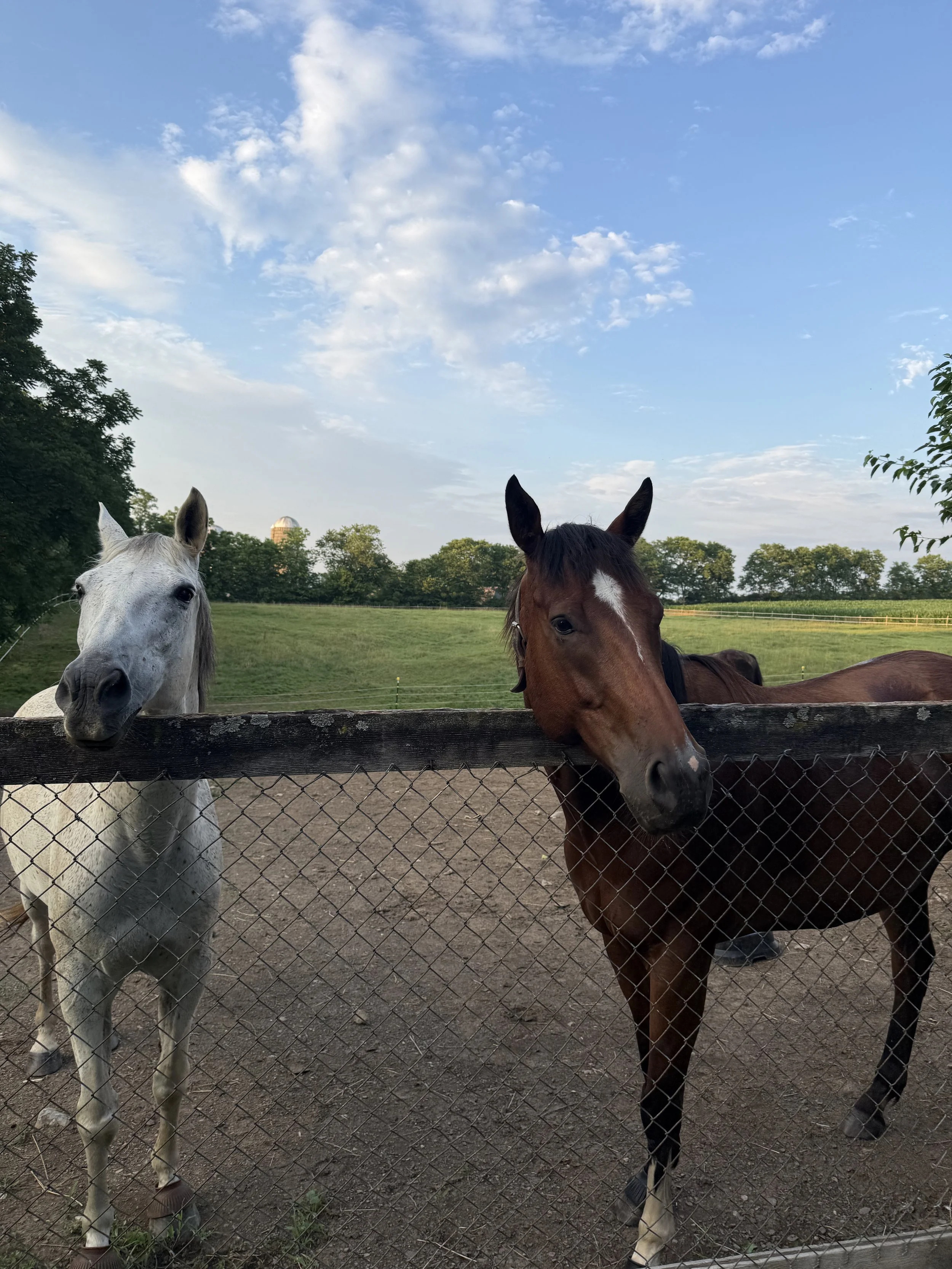 A Gentle Invitation to Begin - From Nicole