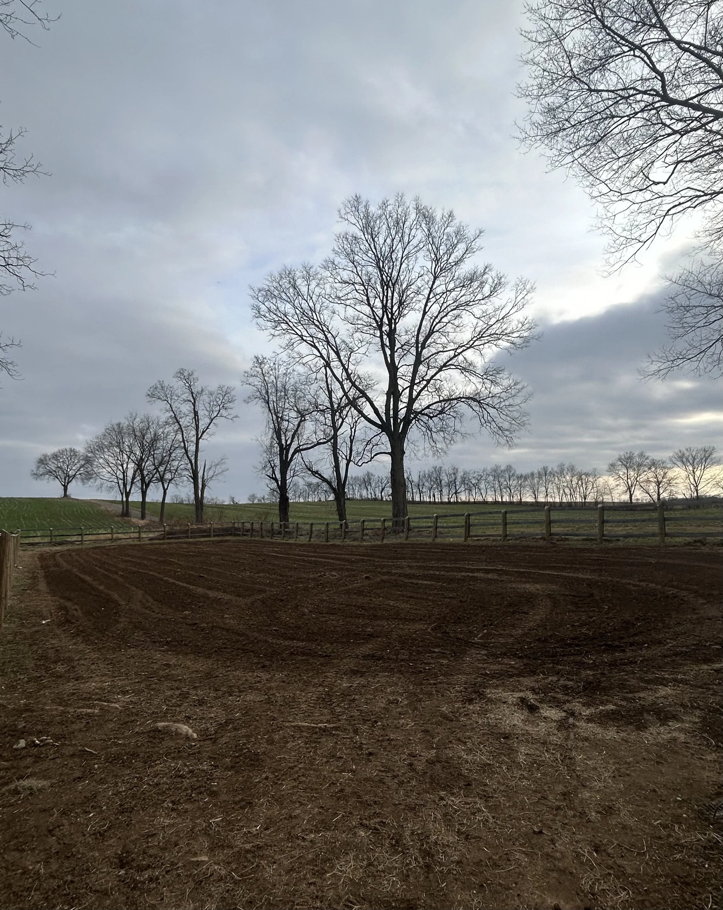 A farm field with freshly tilled soil, a wooden fence, and leafless trees under a cloudy sky.