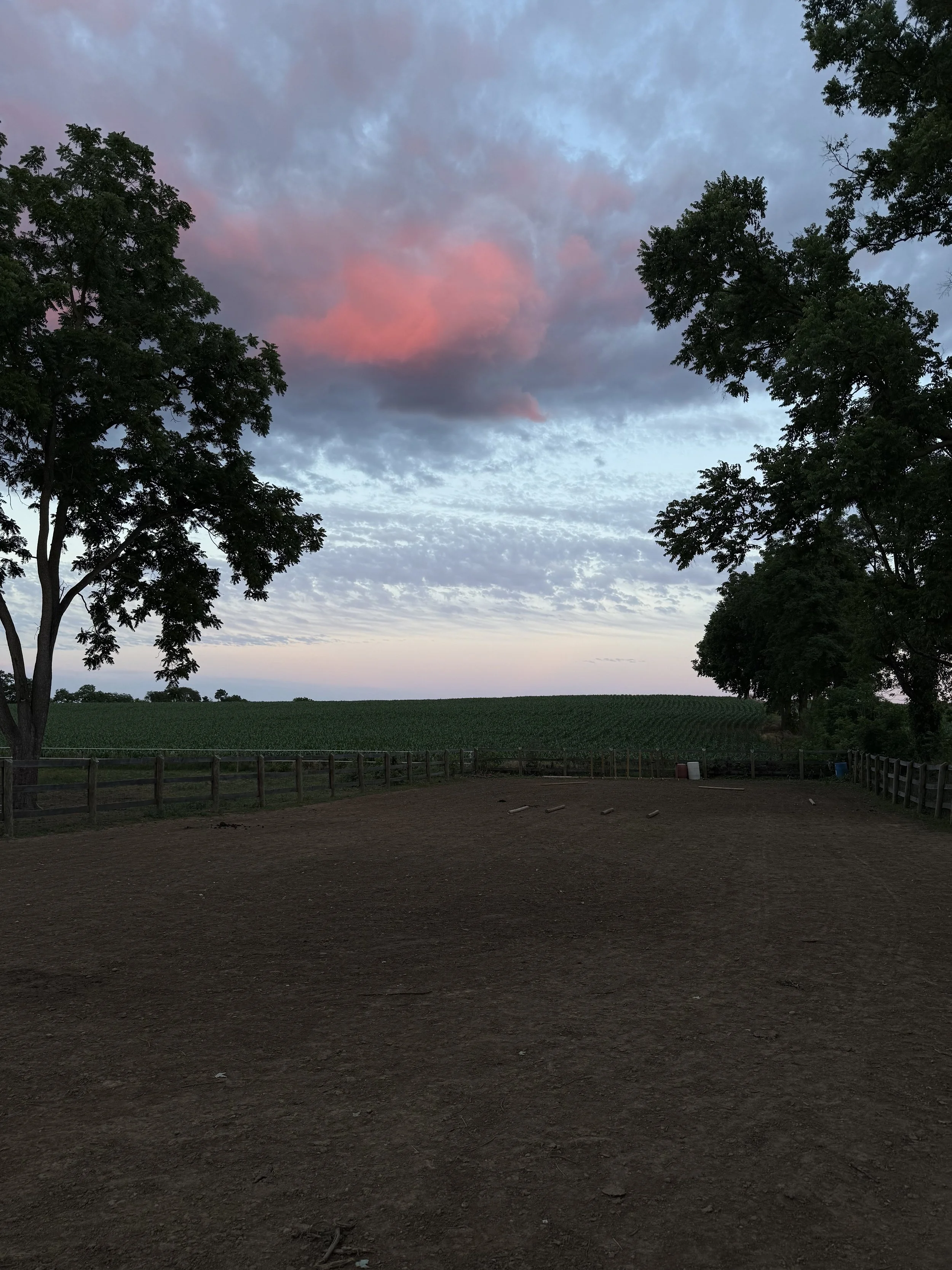 View of a dirt field with trees on the sides and a cloudy sky with pink hues at sunset.