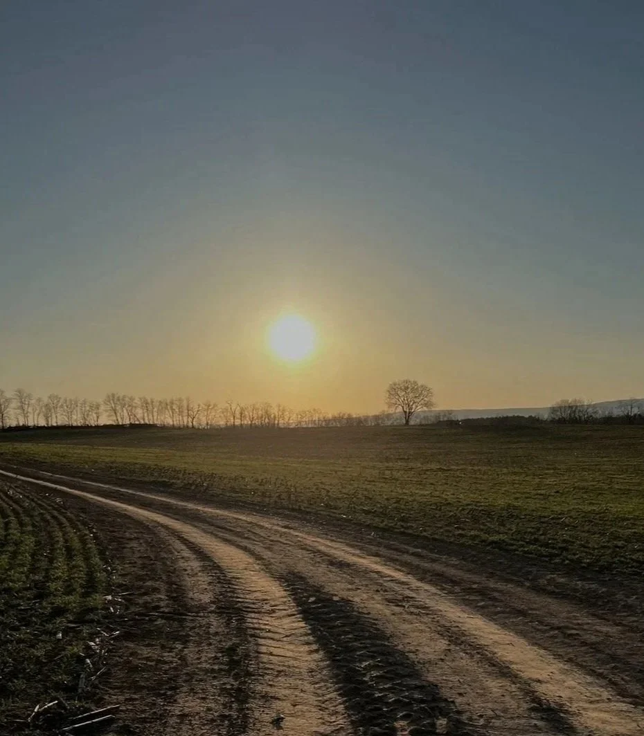 A rural dirt road running through a field with tire tracks visible, under a clear sky with the sun low on the horizon, and a line of trees in the distance.