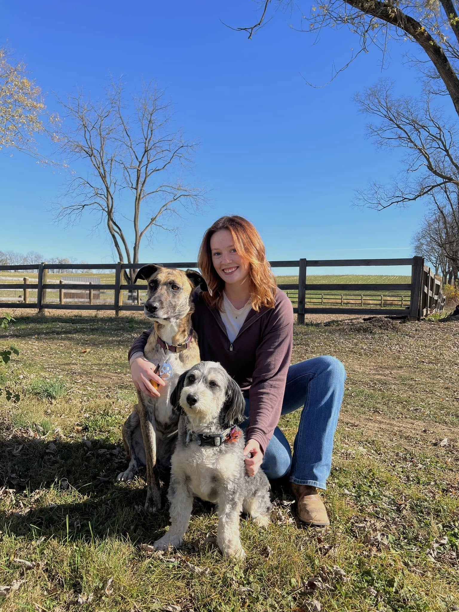 A woman kneeling with two dogs outdoors on a sunny day, in front of a wooden fence, with leafless trees and clear blue sky in the background.