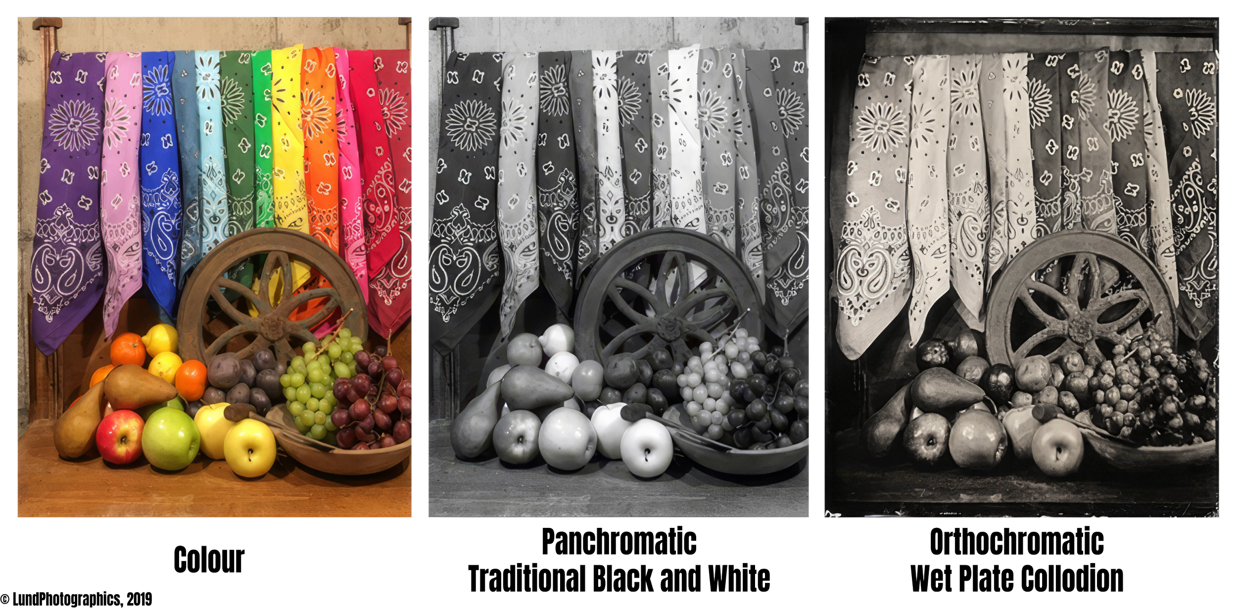 Comparison of three photography styles: color, traditional black-and-white, and orthochromatic wet plate collodion. Each style features a still life arrangement of fruits and vegetables with colorful bandanas hanging behind them. The color image displays vibrant fruits like apples, pears, grapes, and citrus, with multicolored bandanas. The black-and-white image shows the same arrangement with a grayscale filter. The orthochromatic image depicts the scene with a different grayscale tone emphasizing different contrasts.