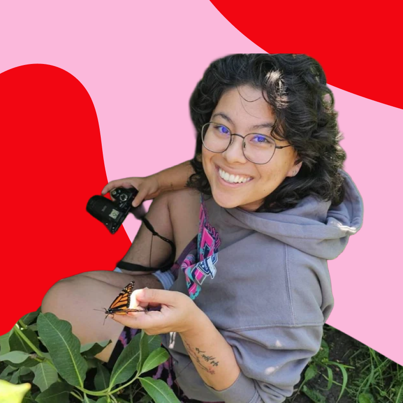 A person smiling and kneeling next to a monarch butterfly on a plant. They are holding a butterfly net and a camera, and are wearing glasses and a gray hoodie. The background features a graphic with pink and red abstract shapes.