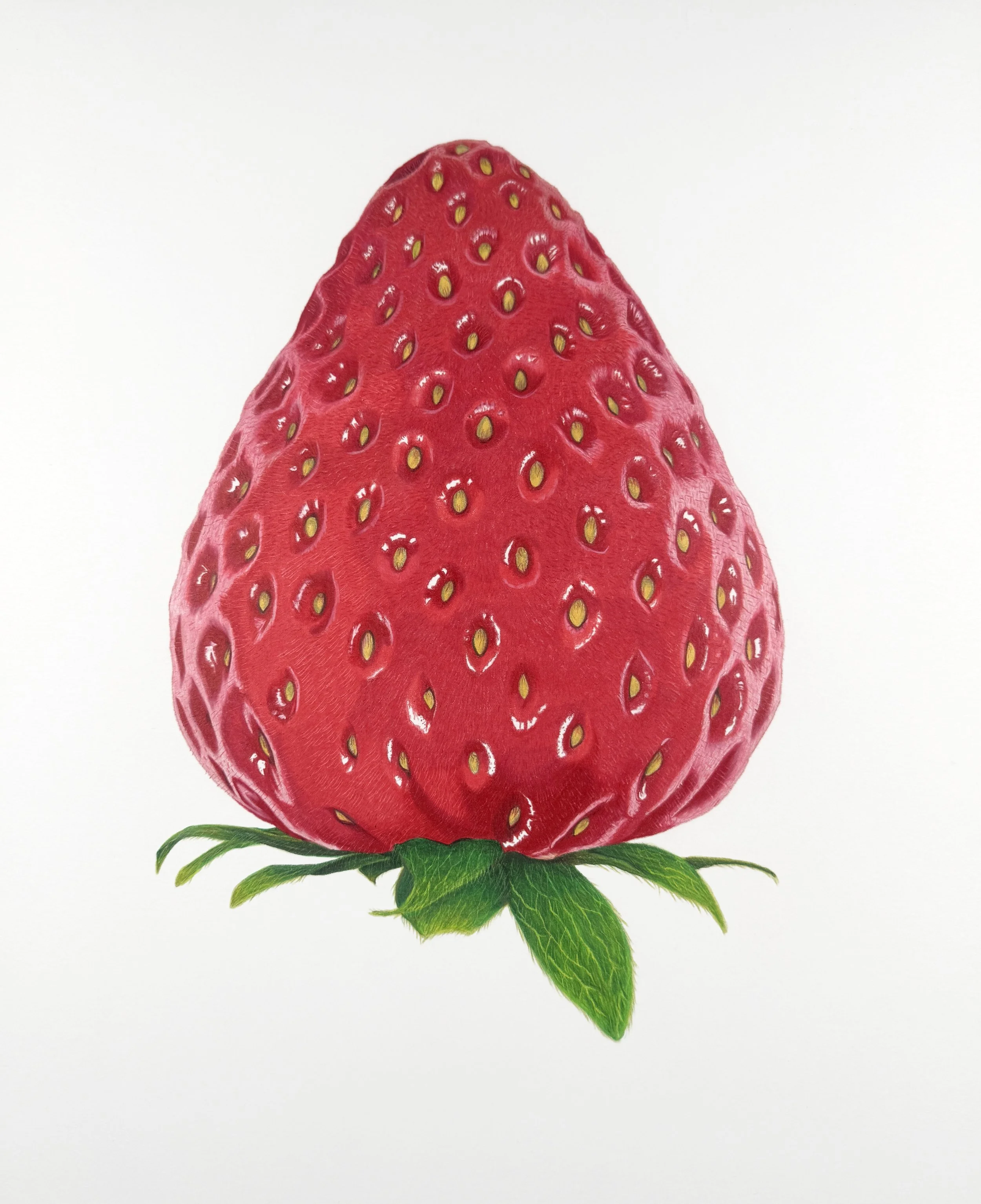 strawberry original isabel giannuzzi 1.jpg