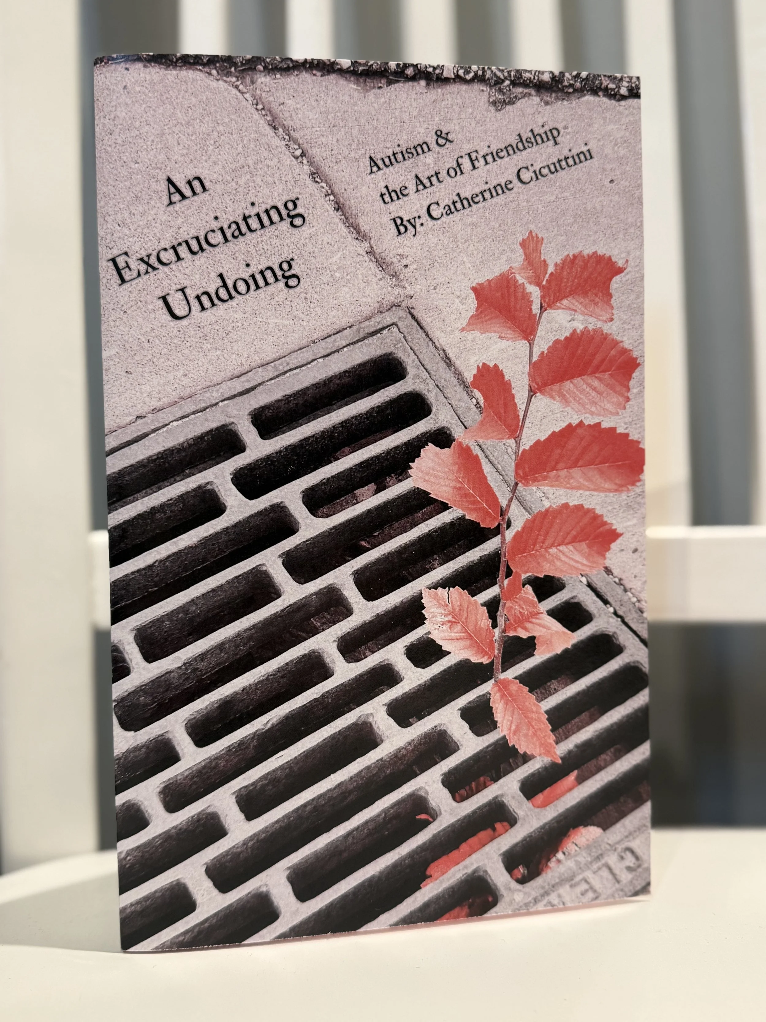 The cover of a book titled 'An Excruciating Undoing' by Catherine Cicutini, featuring a drain grate with a red leaf placed on top.