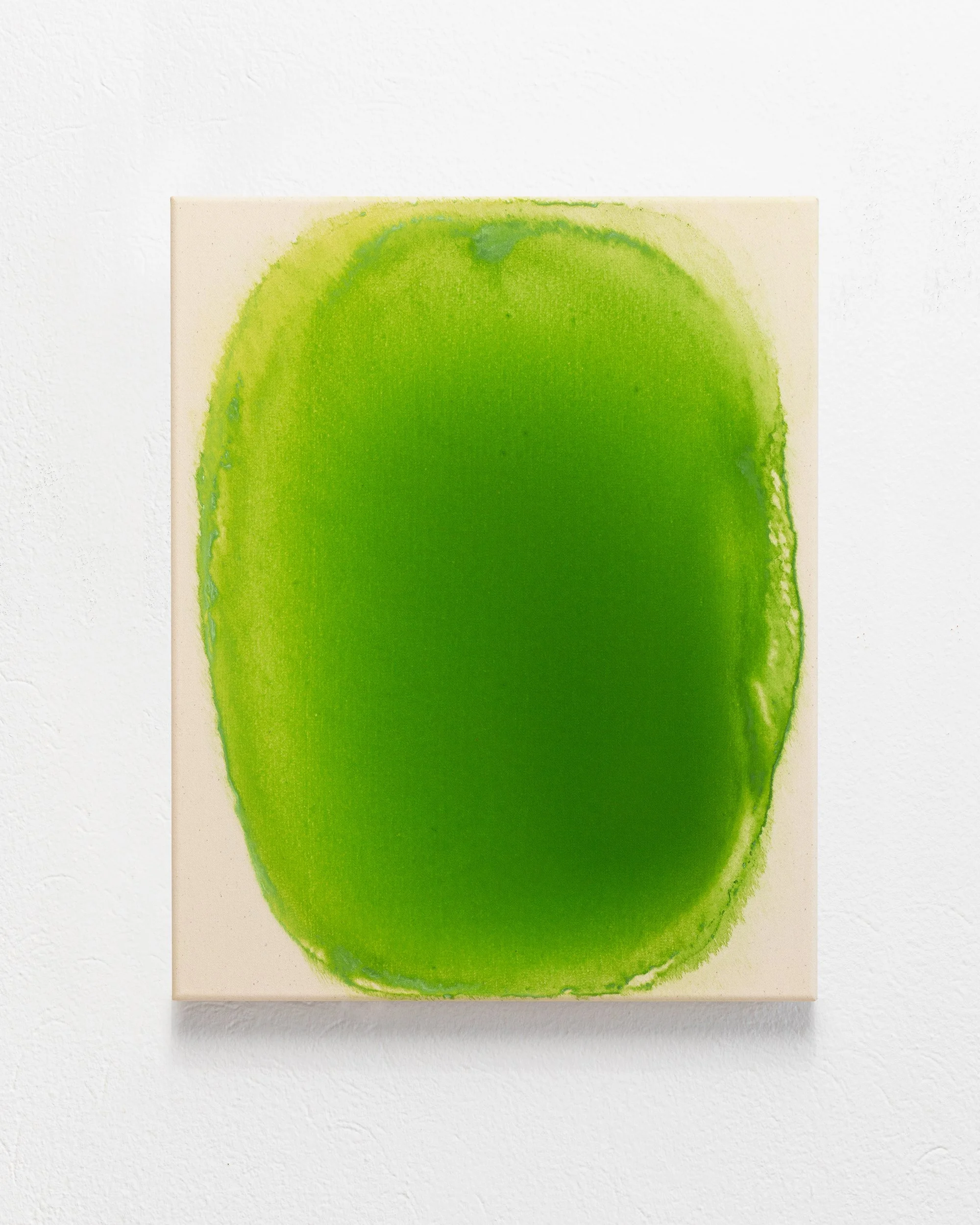 / oil on canvas / 50x40 cm