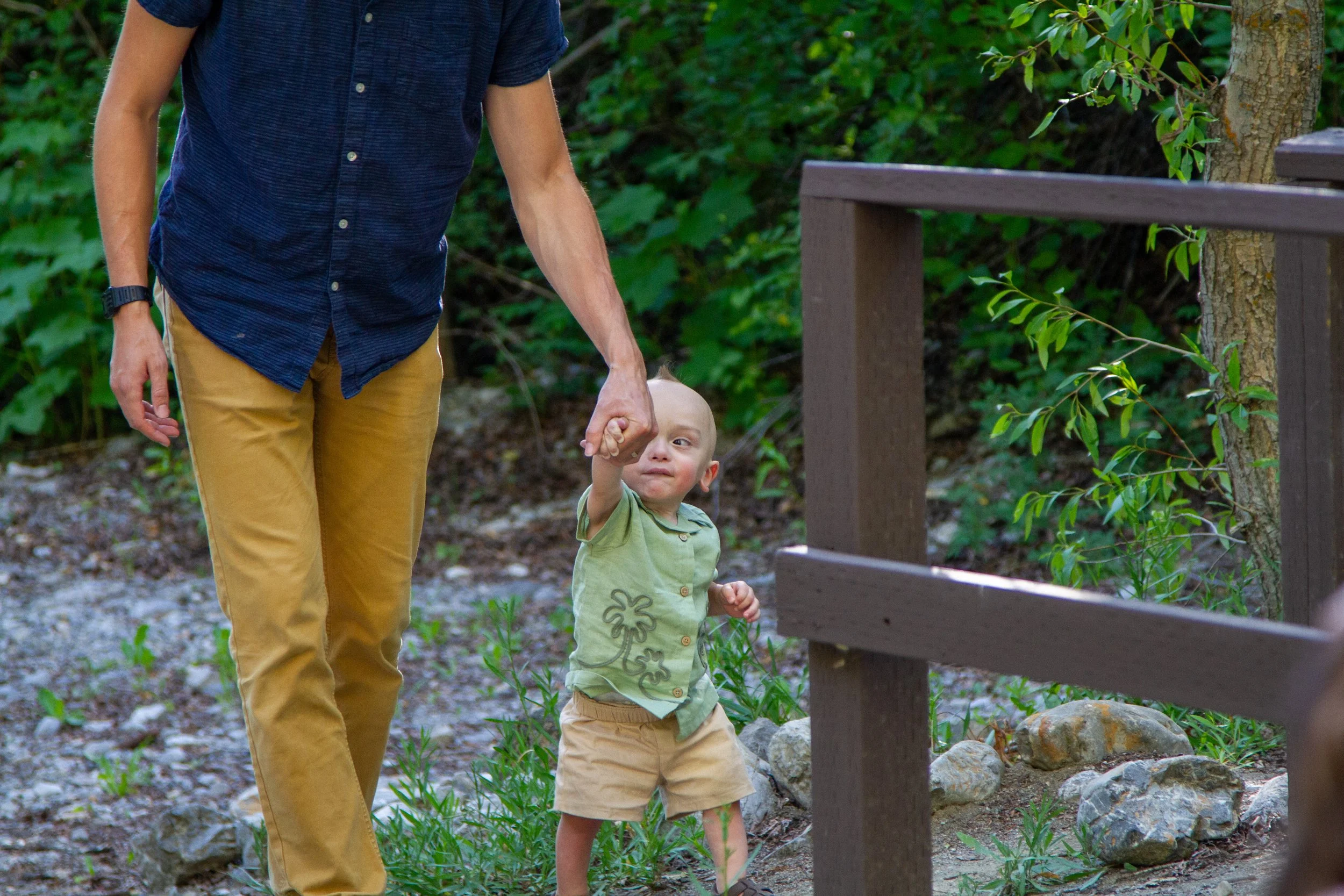A man holding hands with a young boy walking outdoors on a rocky and grassy trail near a wooden railing and surrounded by trees and greenery.
