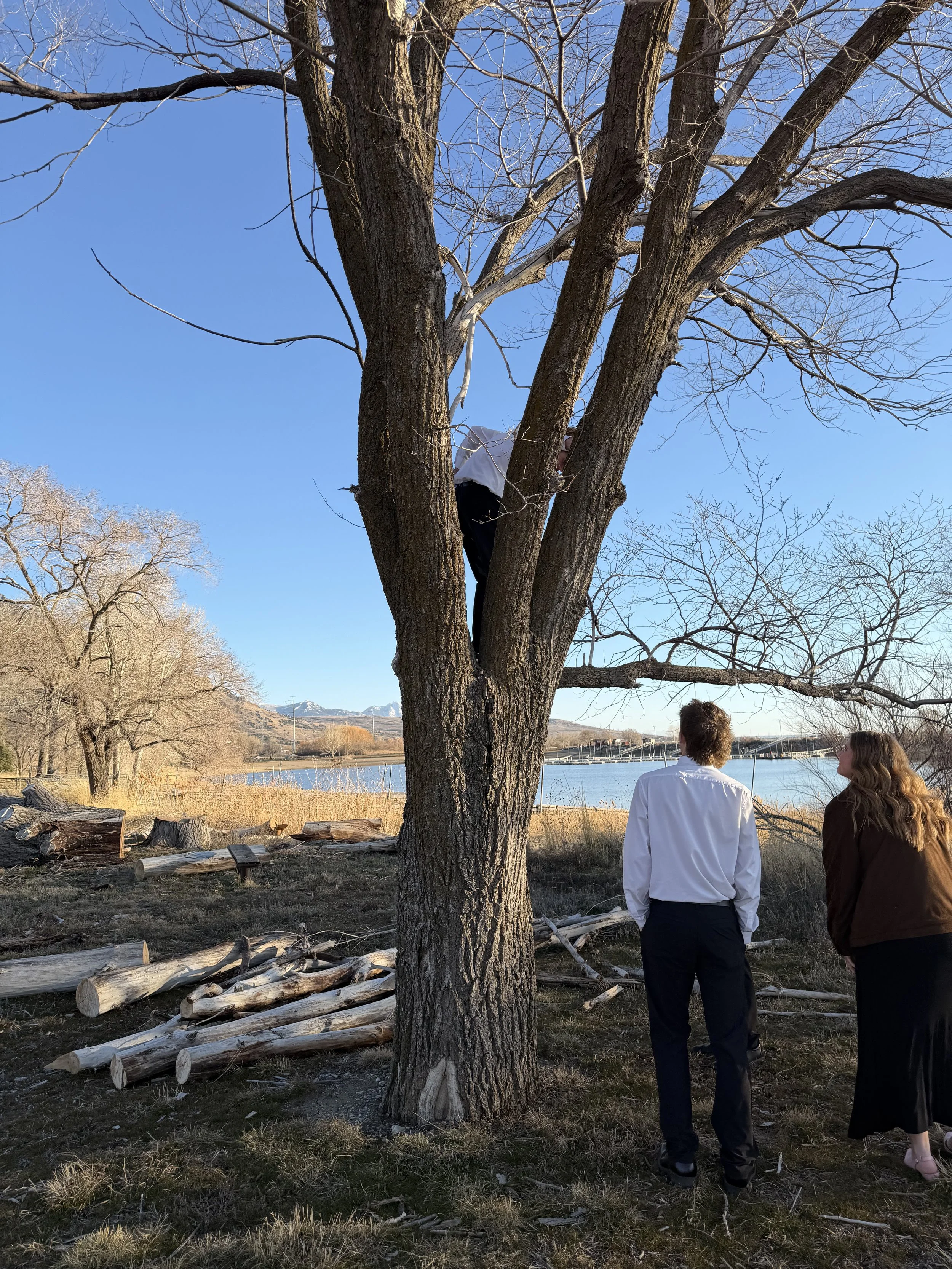 Four people, two men and two women, near a leafless tree by a body of water, with a person climbing or crouching in the tree, under a clear blue sky.