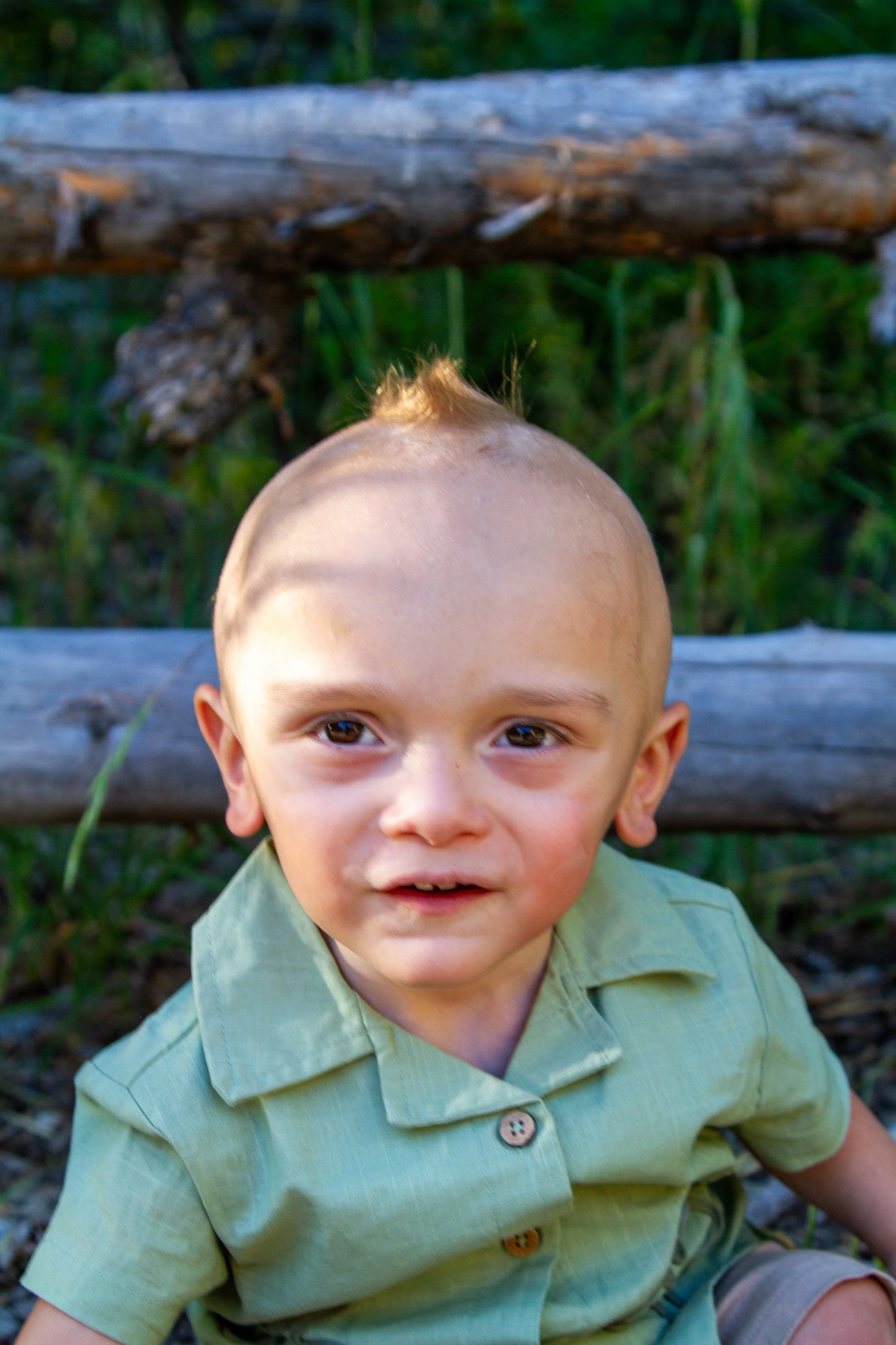 Close-up of a young boy with light brown hair, wearing a light green shirt and looking directly at the camera, with a wooden fence and green foliage in the background.