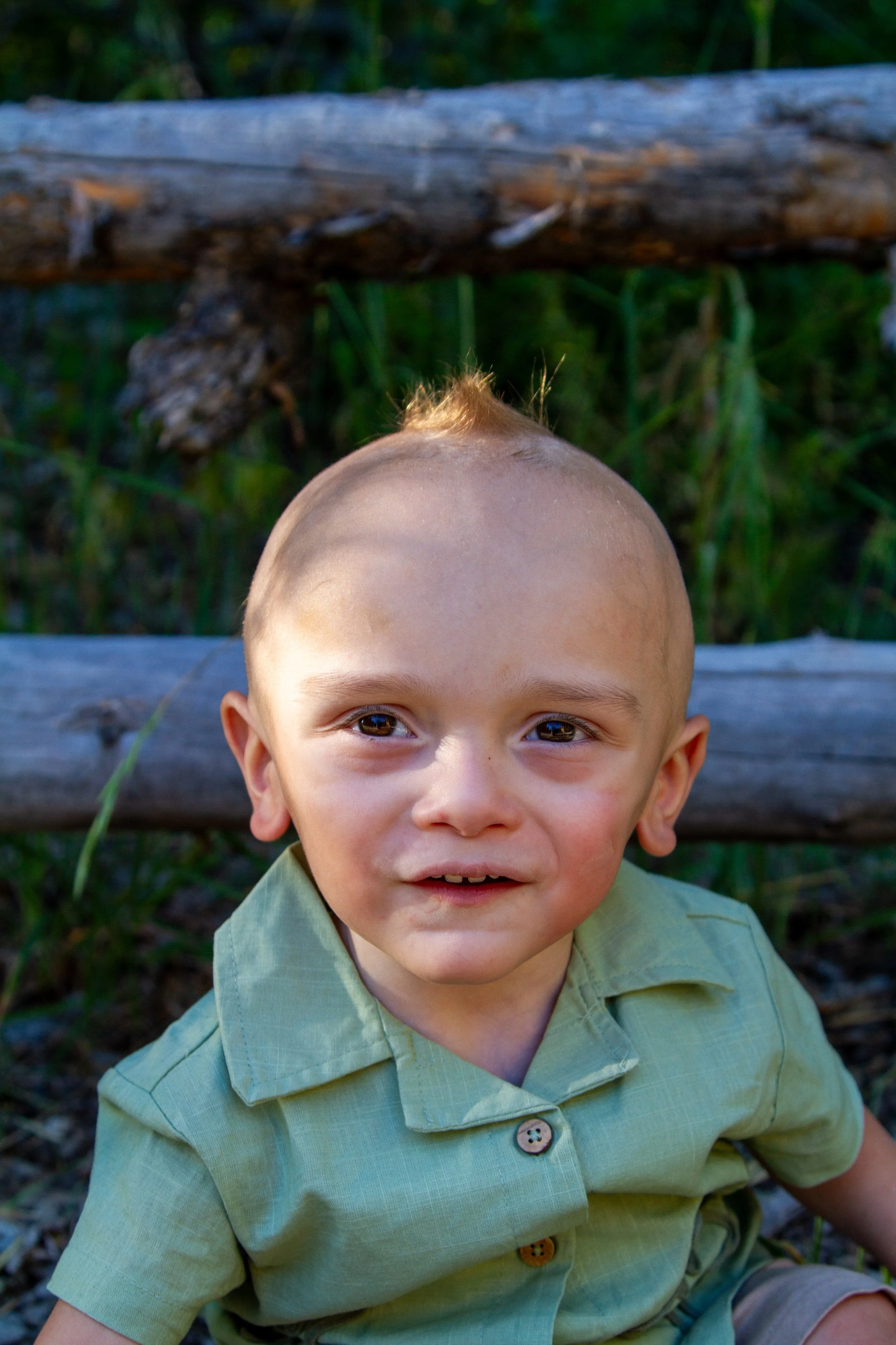 Close-up of a young boy with light brown hair and brown eyes, wearing a light green shirt, sitting outdoors in a natural setting with grass and wood in the background.