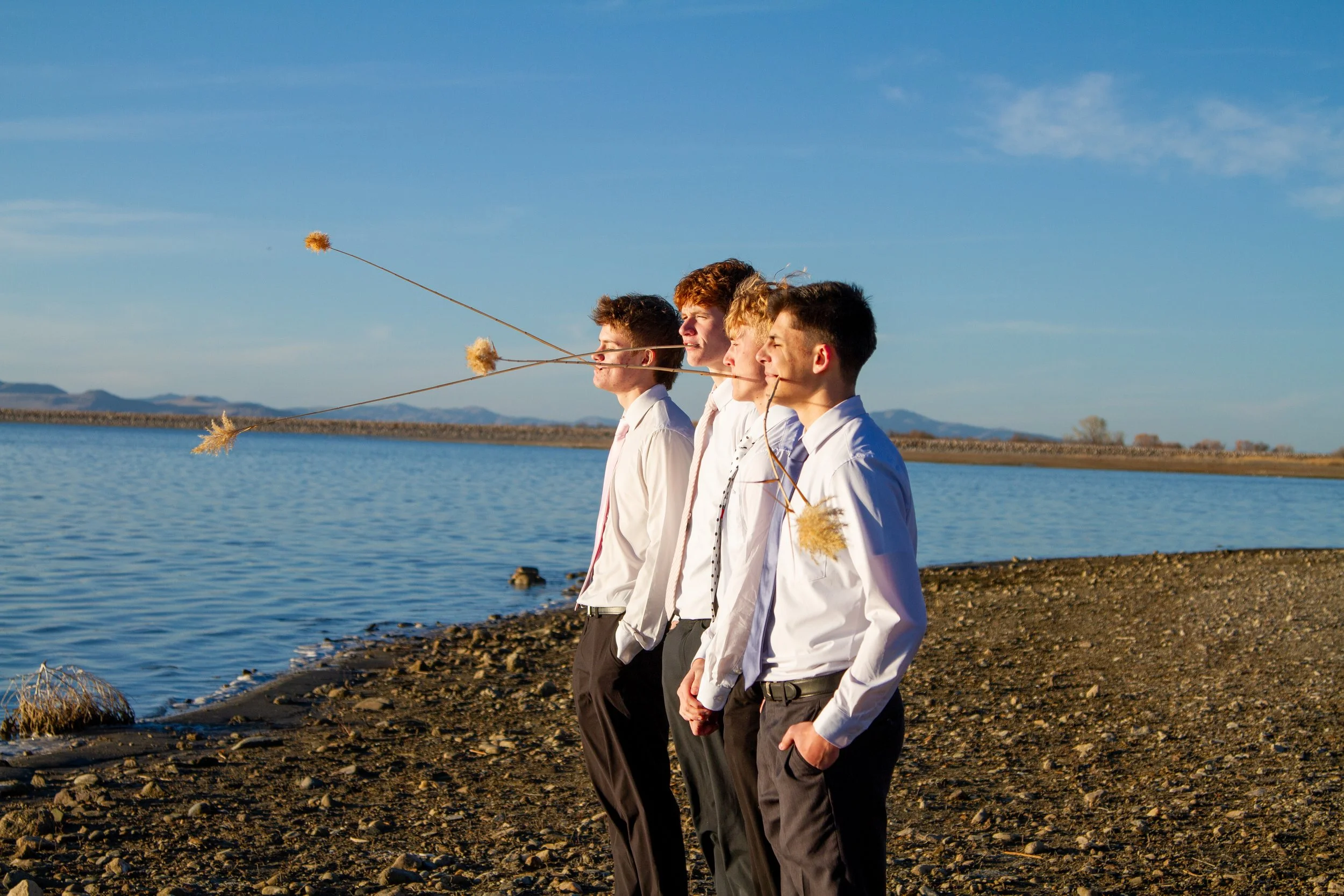 Four young men in dress shirts and ties standing in a row on a rocky shoreline, facing a lake, with each holding a dried plant that resembles a long stem with fluffy, yellowish tops, positioned so that the plants appear to be protruding from their mo