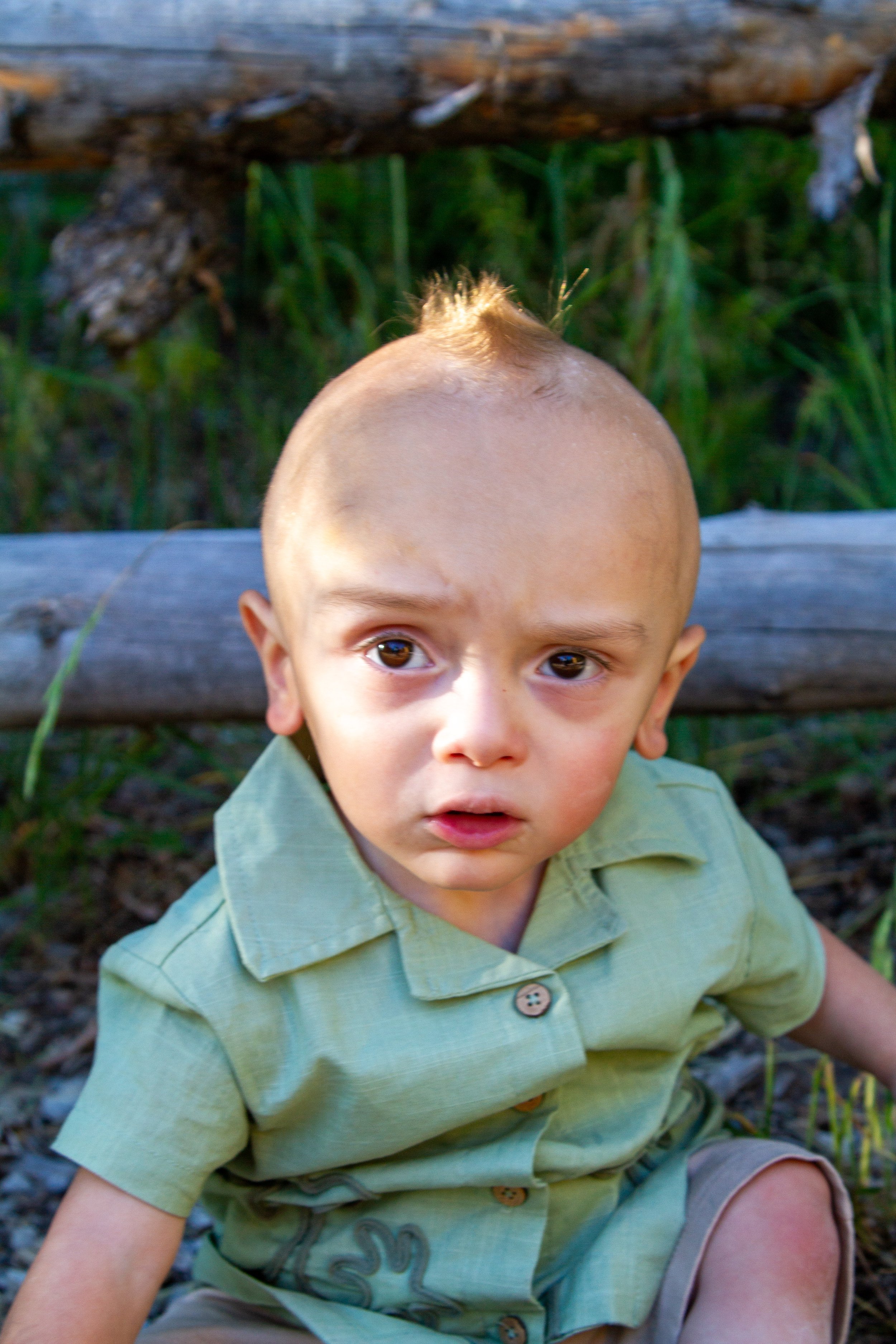 A young boy with a unique mohawk hairstyle, wearing a light green shirt, sitting outdoors with a wooden log and green grass in the background.