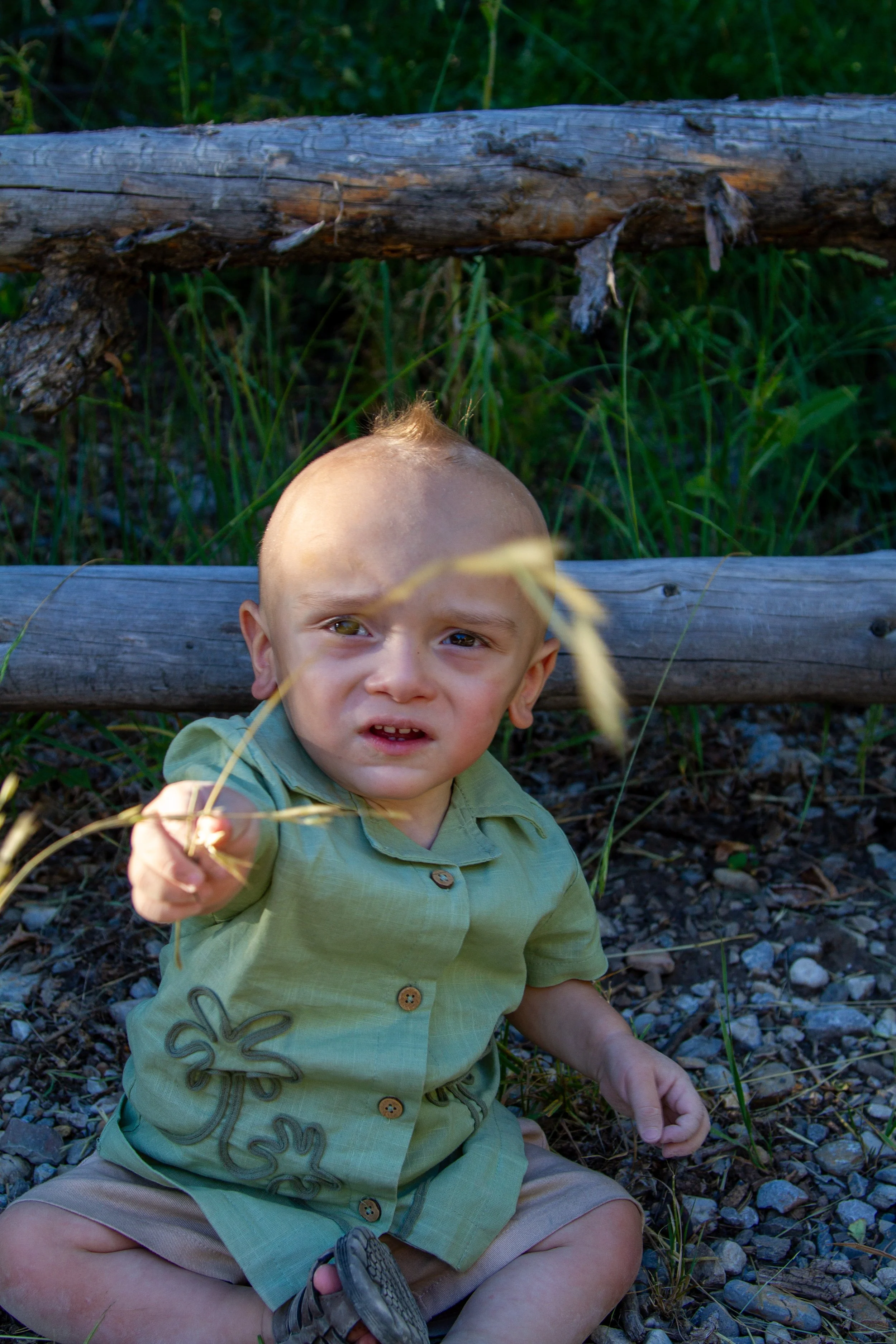A young boy sitting on a rocky ground outdoors, holding a stick, with a weathered wooden rail and green grass in the background.