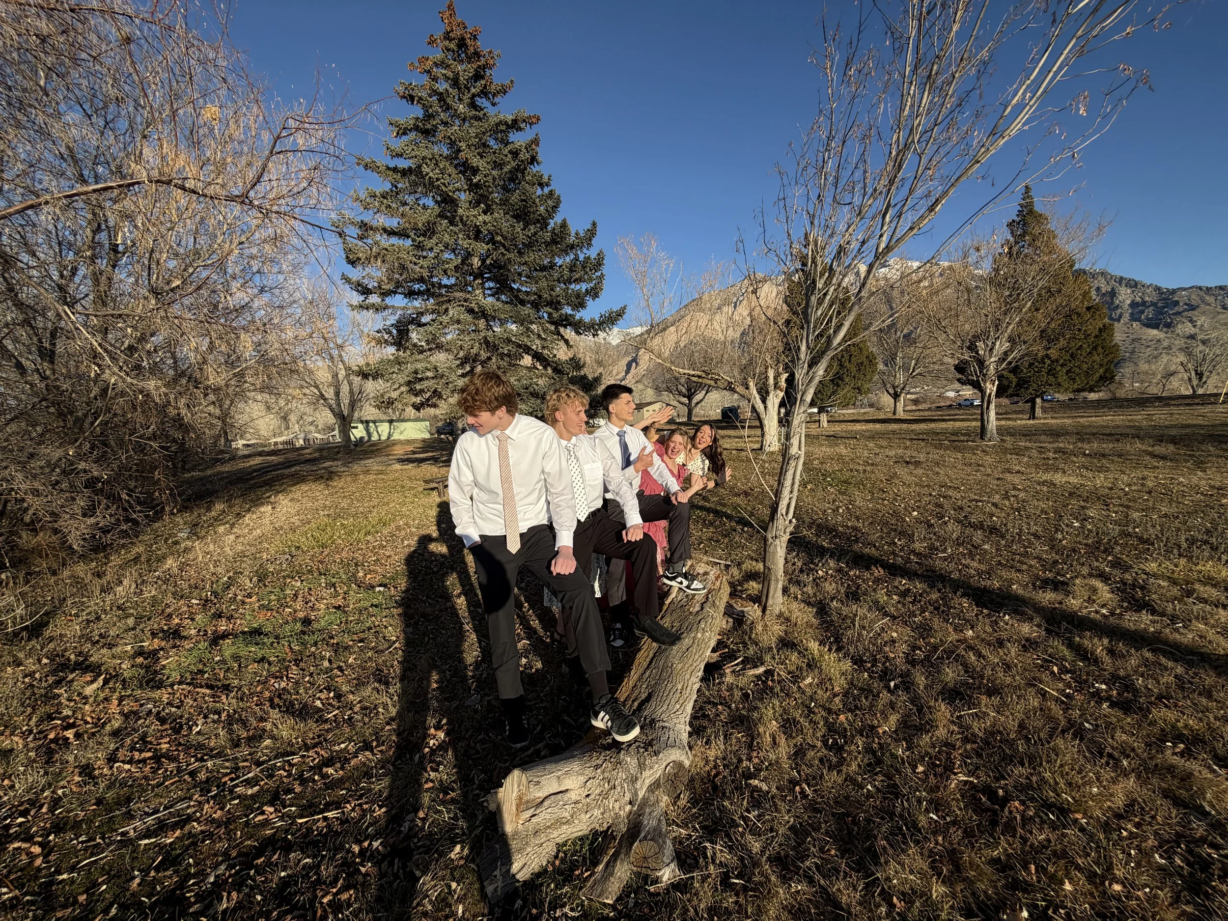 A group of five young people in formal attire sitting on a fallen tree in a park with leafless trees, a green building, and mountains in the background.