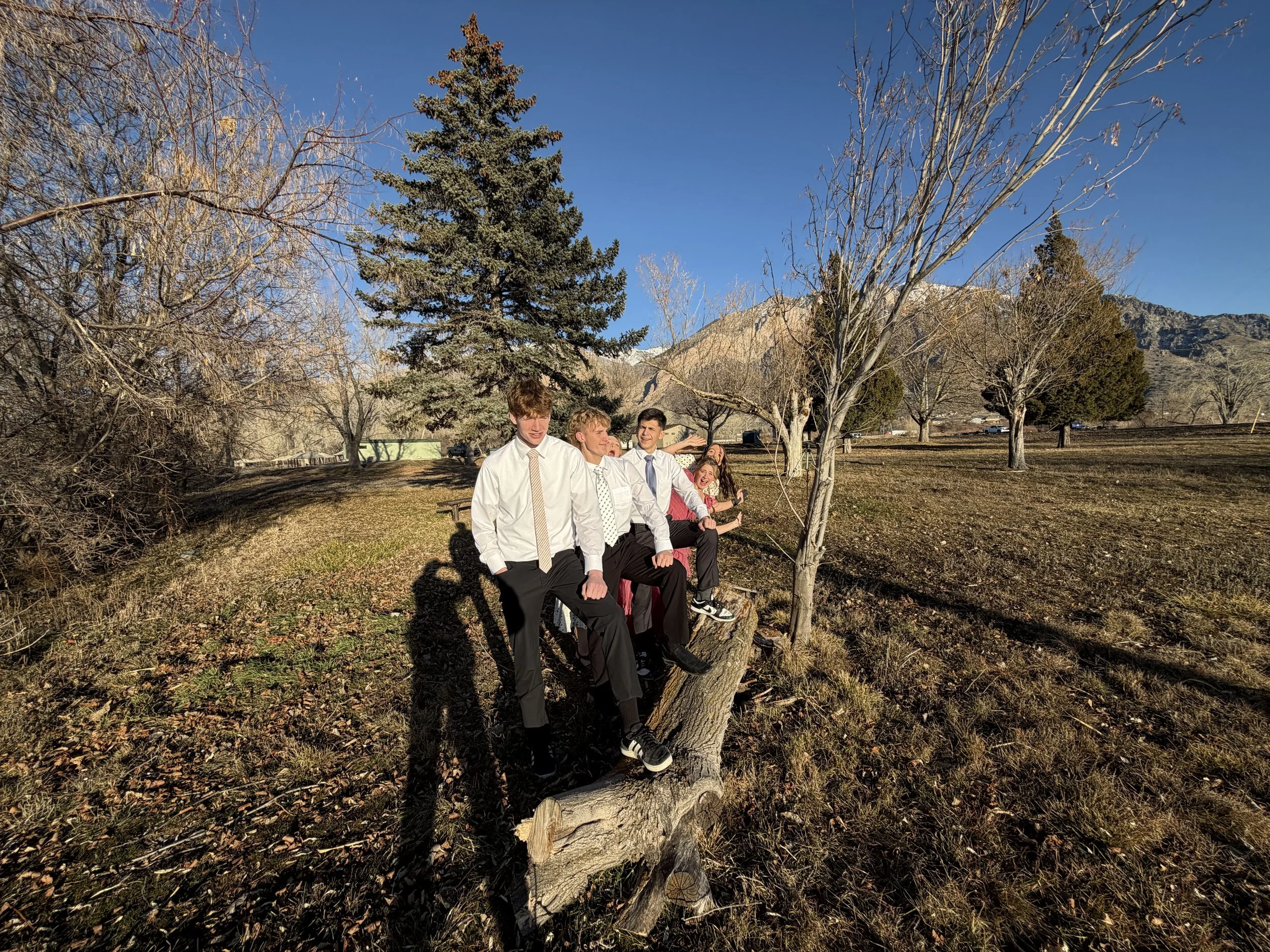 Five teenagers in formal attire sitting and standing on a fallen tree in a park with leafless trees and mountain background during late fall or winter.
