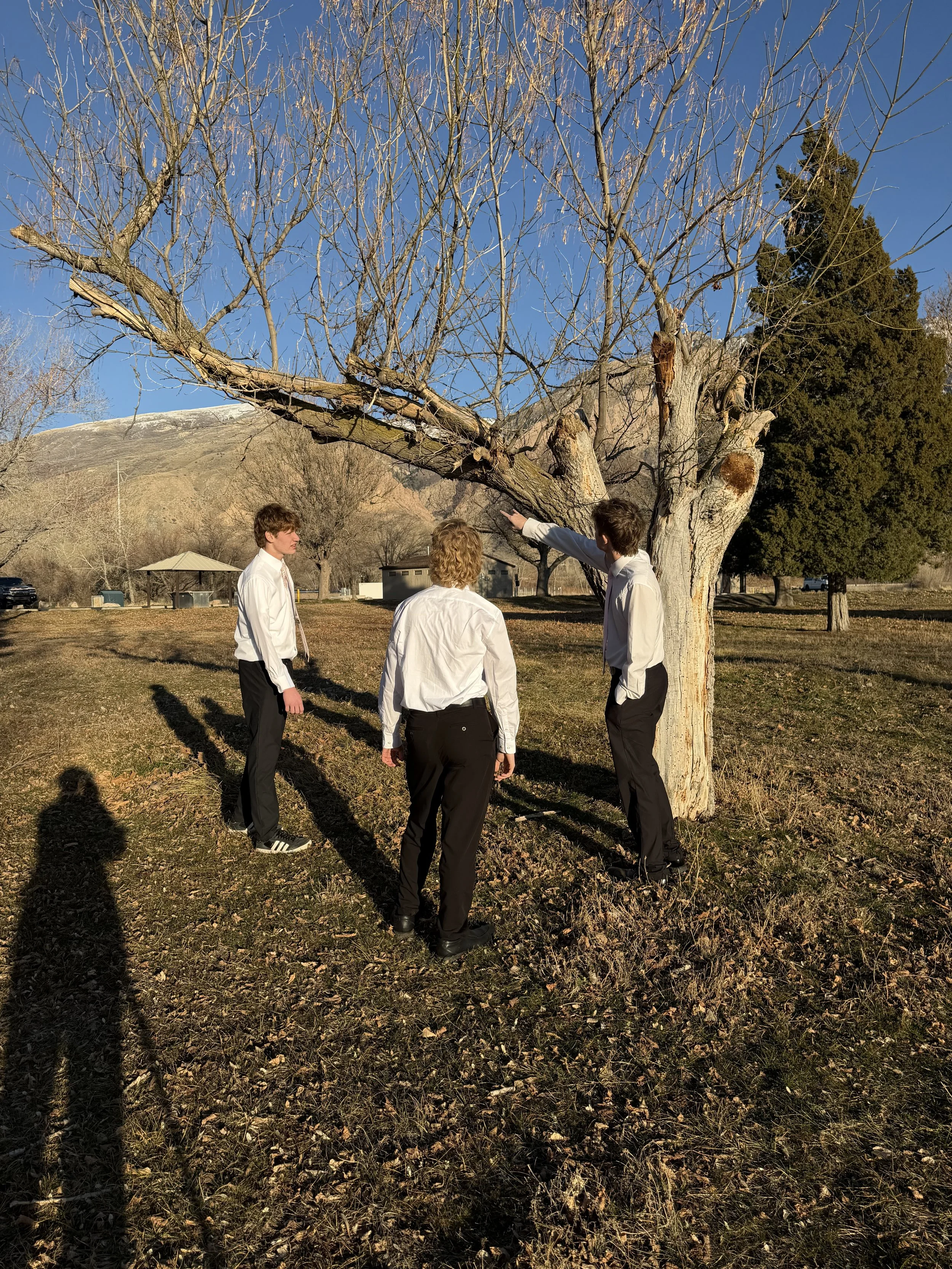 Three young men in white shirts and black pants standing near a large leafless tree on a sunny day, with a mountainous landscape in the background.