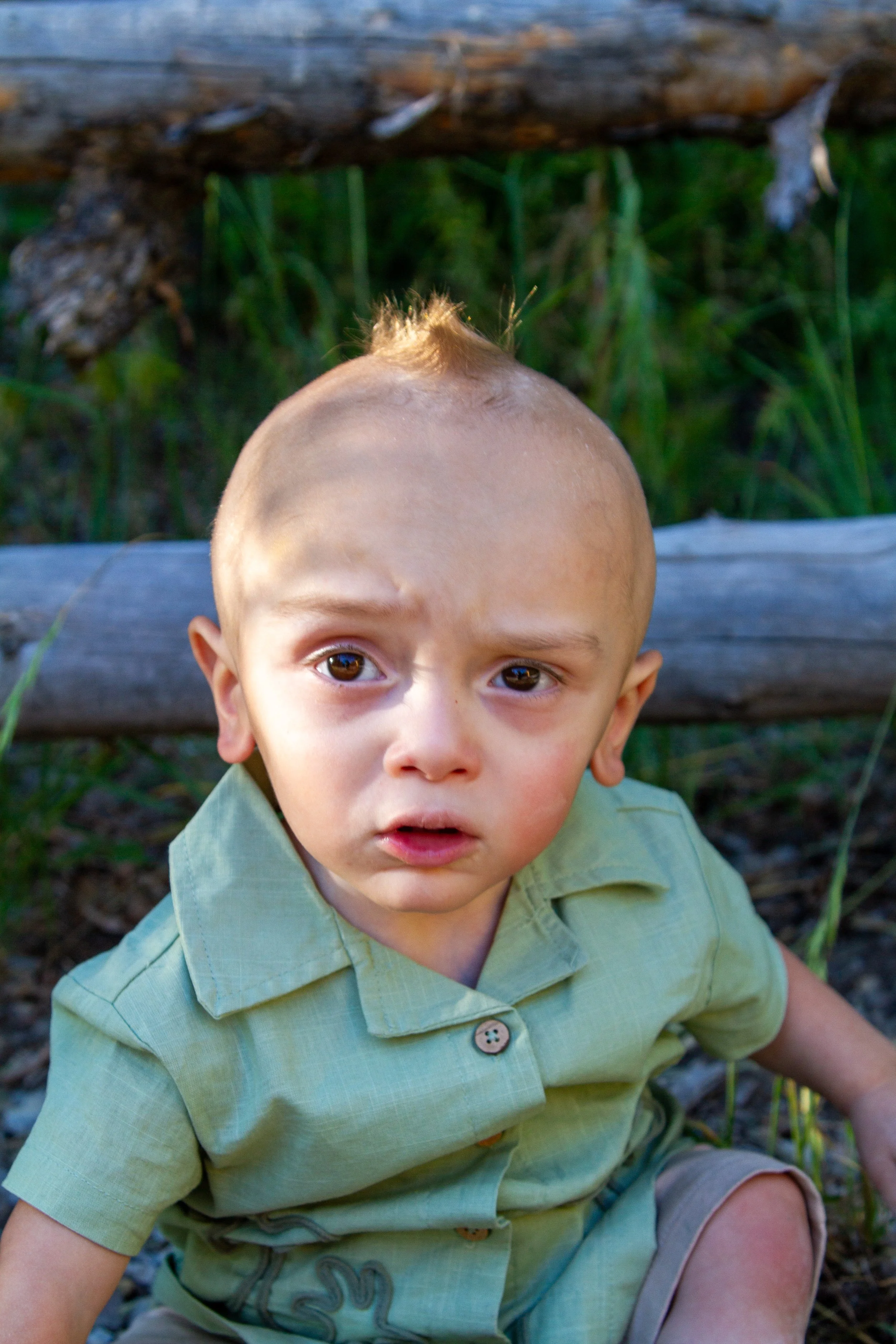 A young boy with a specific hairstyle, sporting a light green shirt, sitting outdoors on the grass and rocks with greenery in the background.