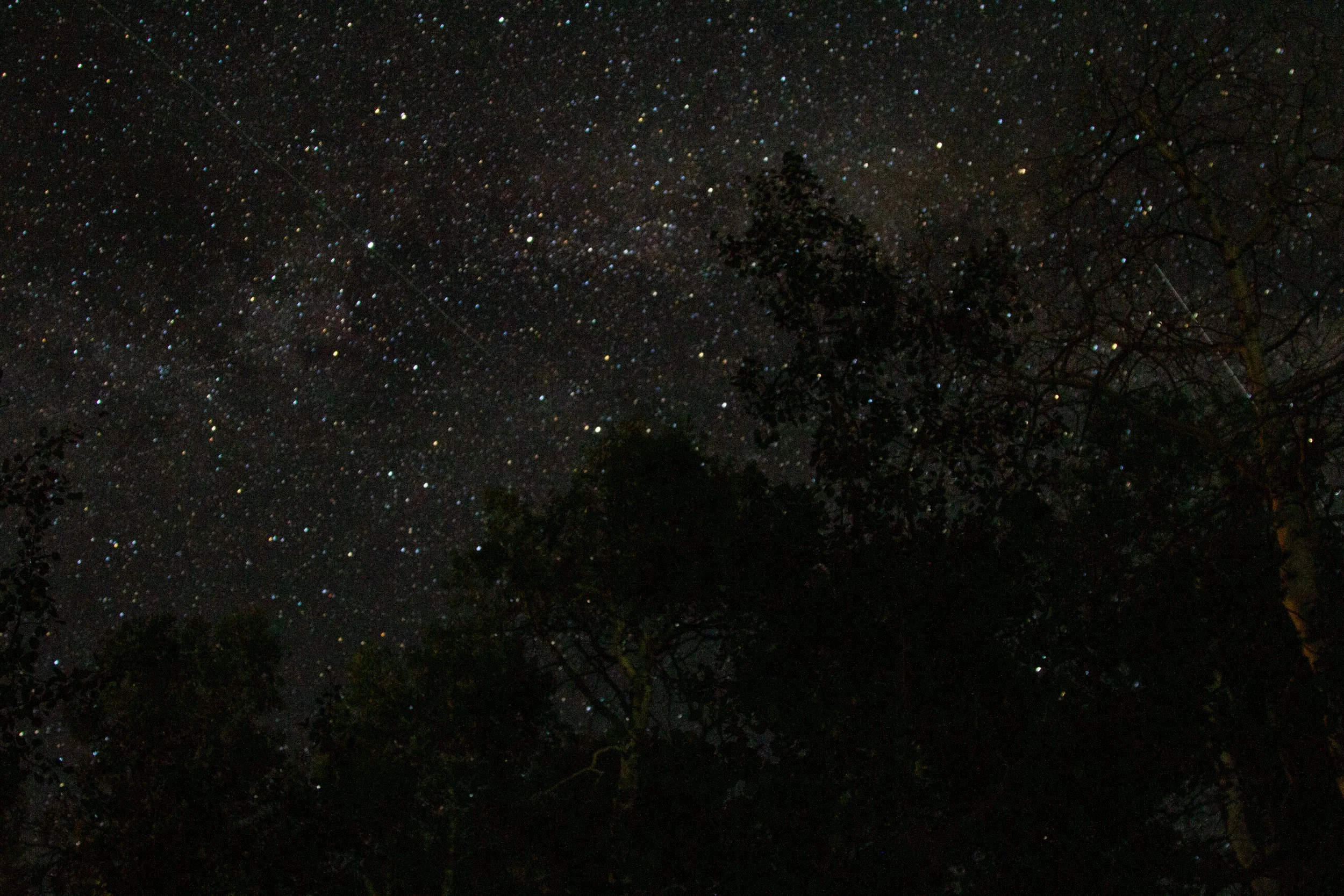 Stars-4.jpg