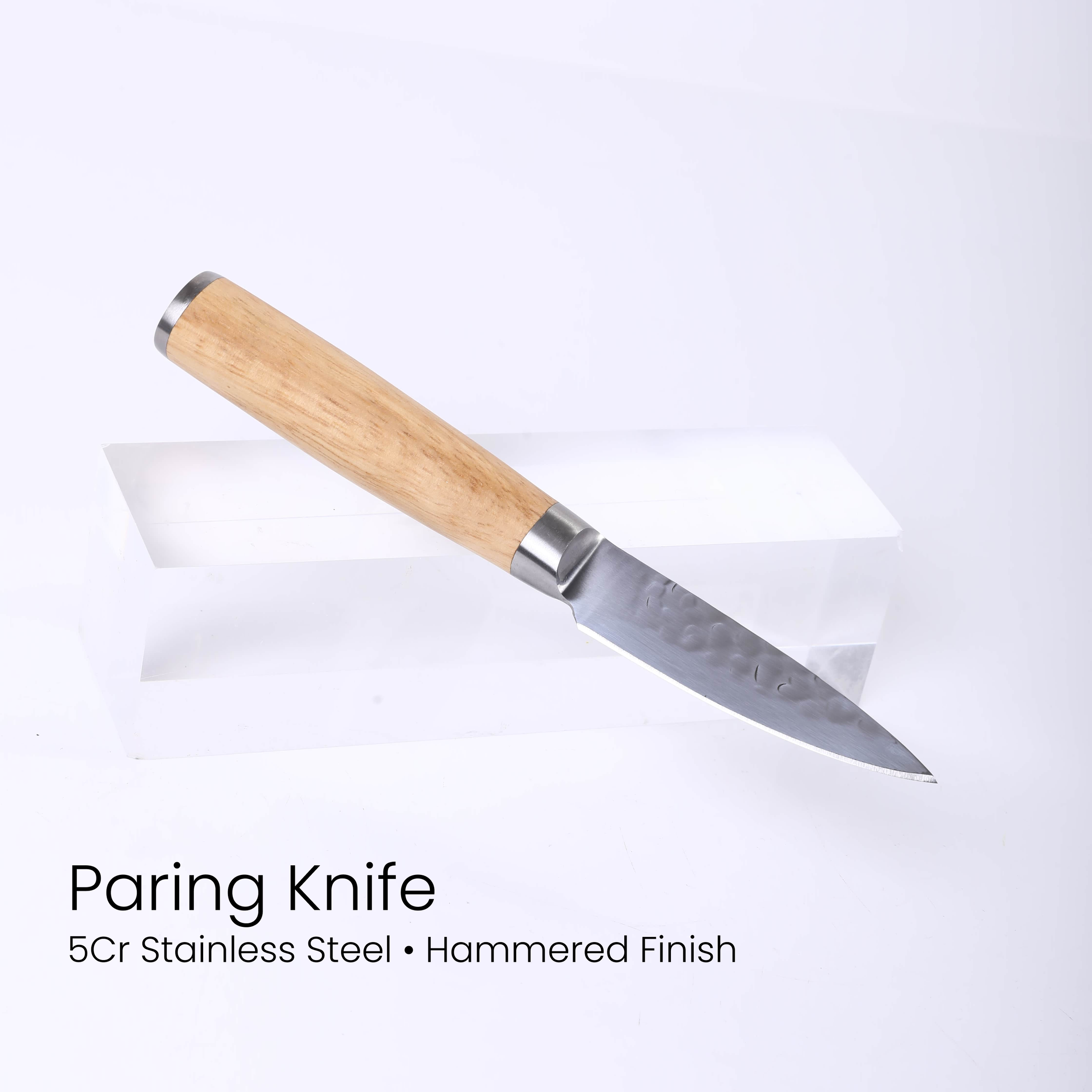 5Cr-Stainless-Steel-Full-Tang-Knife-Set-Paring-Knife-16.png