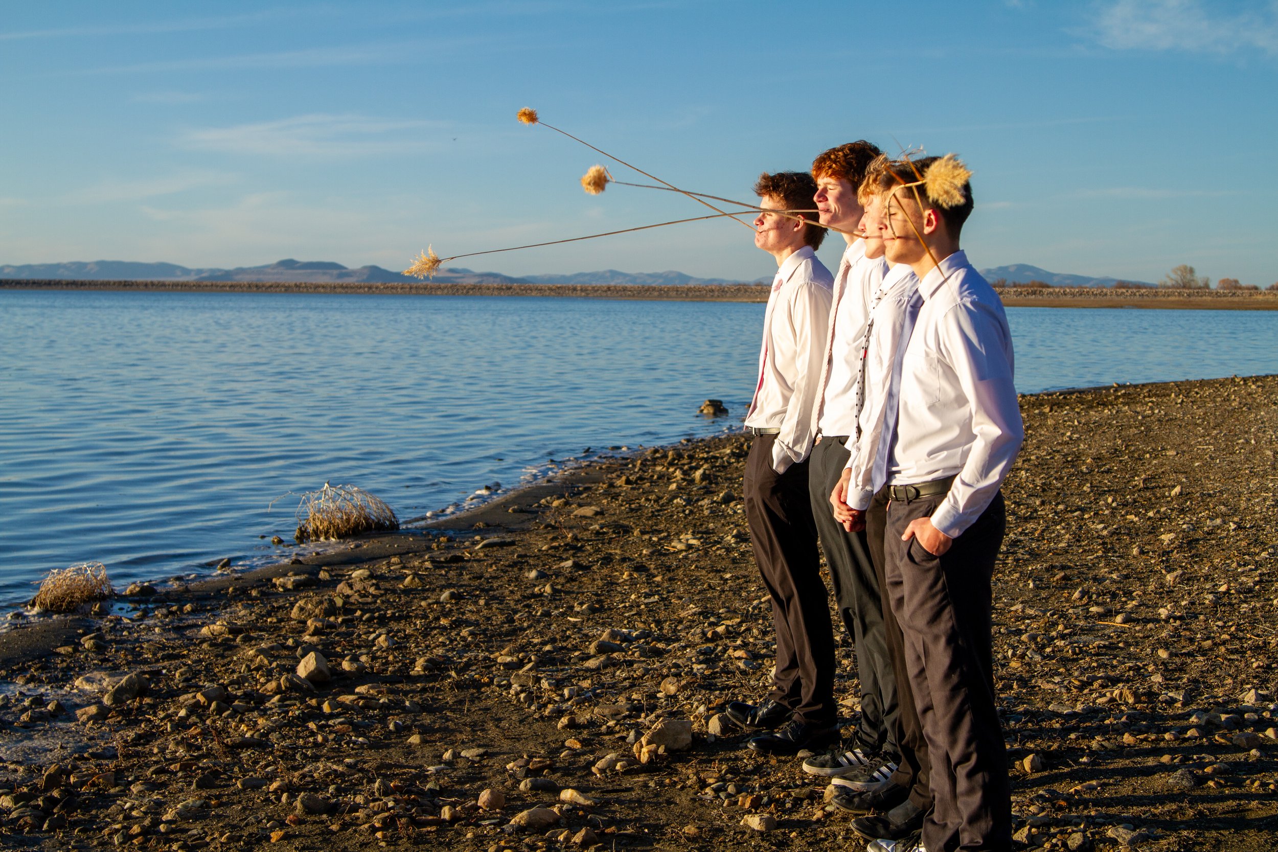 Four young men in white shirts and dark pants standing on rocky shore by water, looking towards the horizon as fluffy dandelion seeds blow in the wind.
