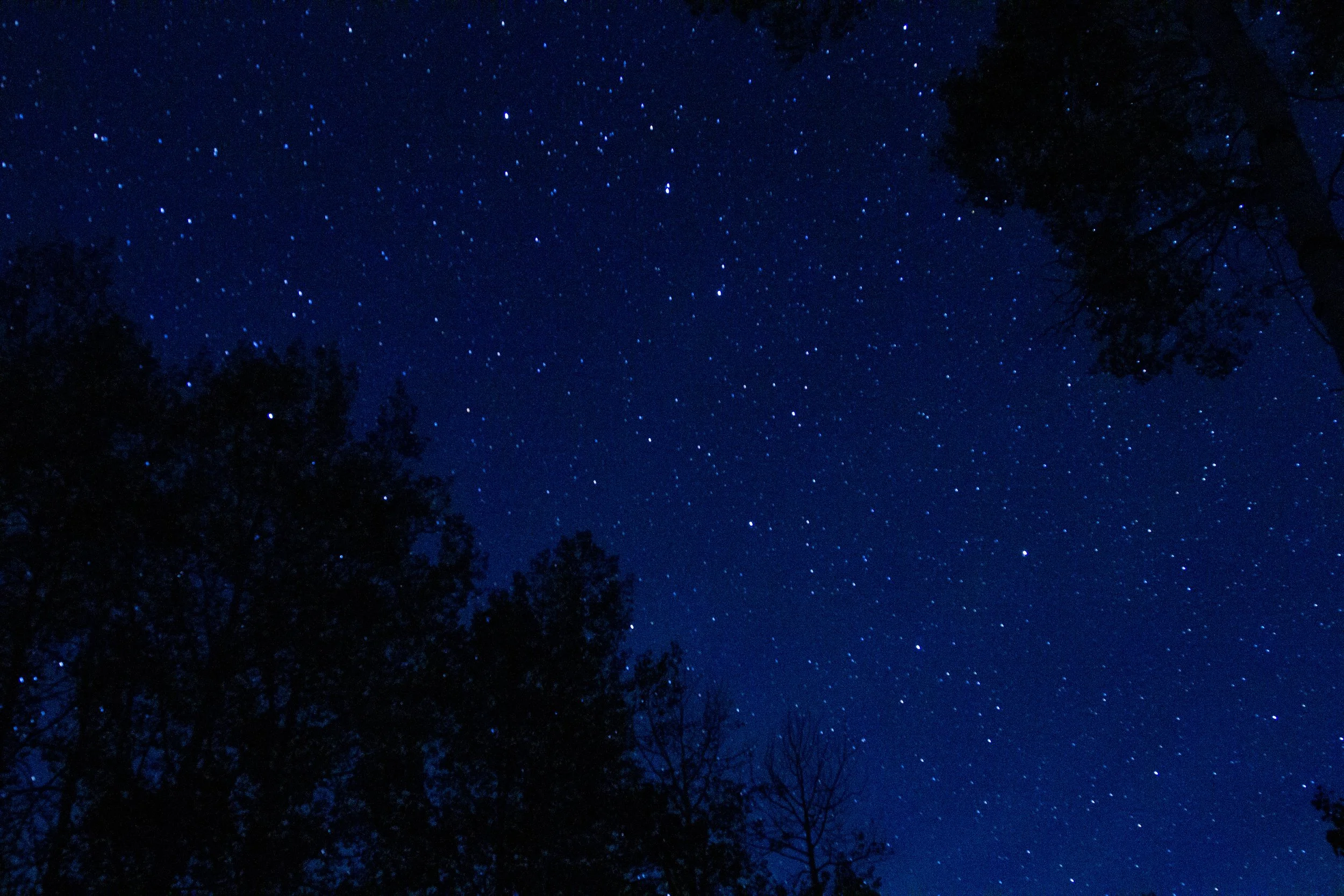 Stars-20.jpg