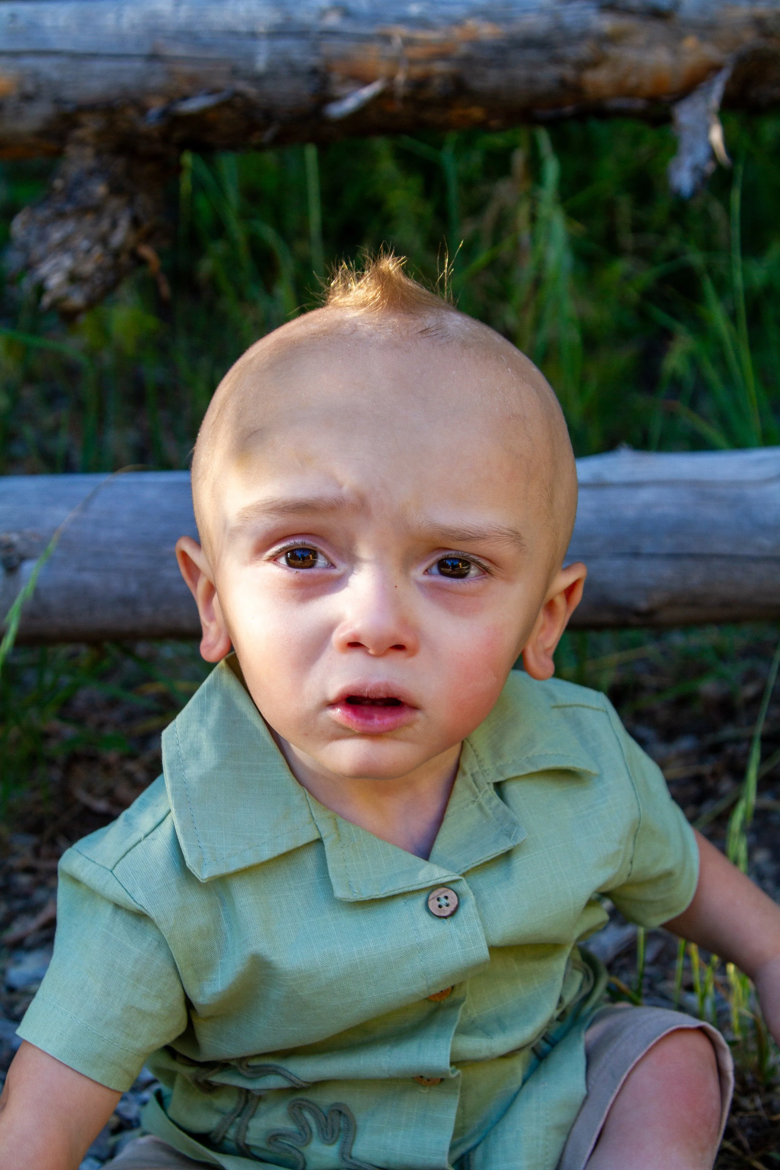 Young boy with short light hair, wearing a light green button-up shirt and beige shorts, sitting outdoors in a natural setting with grass and wooden logs in the background.