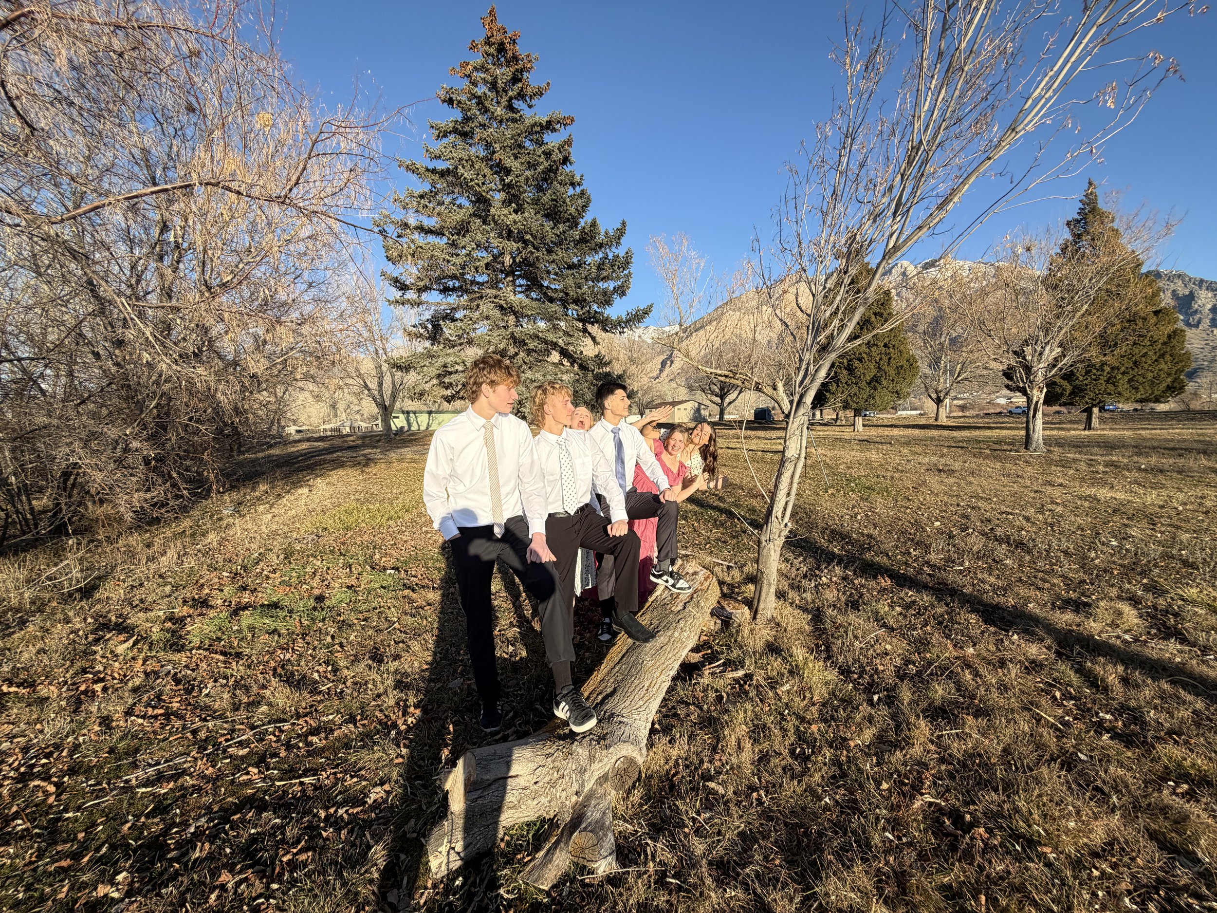 Group of young people dressed in business attire standing on a fallen tree in a park with trees and mountains in the background.