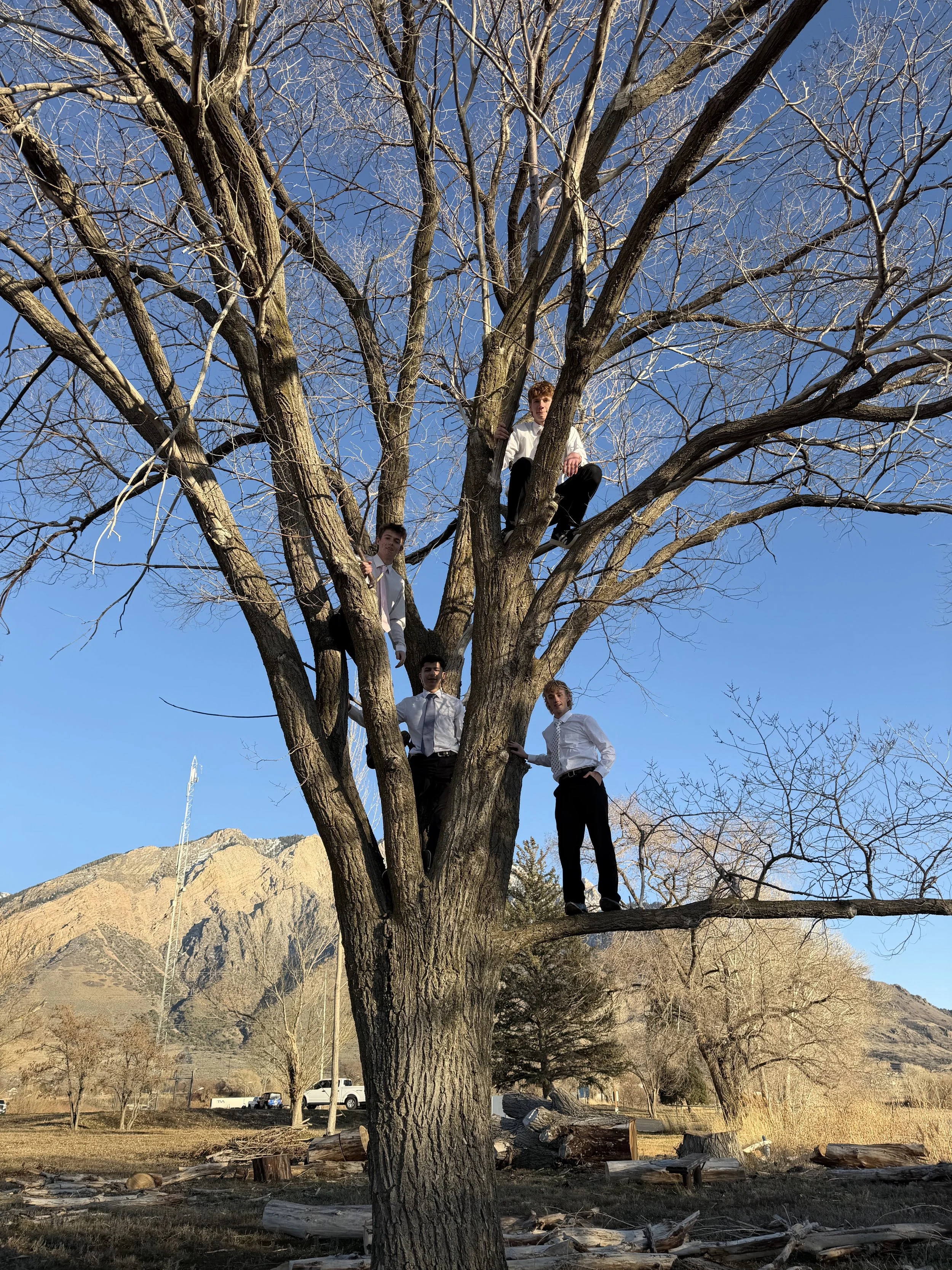 Four young men in formal attire are climbing and sitting on a large, leafless tree in an outdoor setting with mountains and clear blue sky in the background.