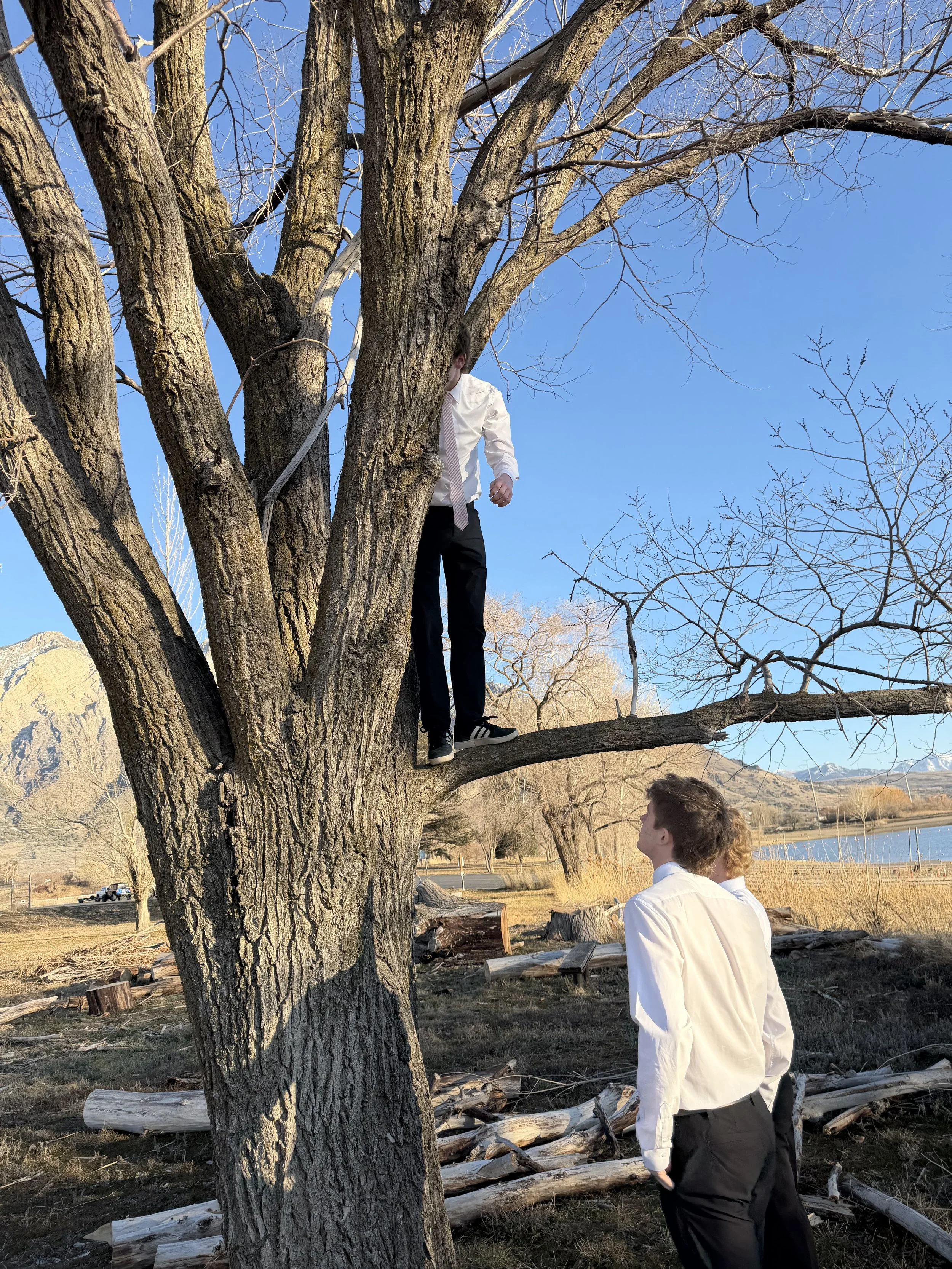 Three young men in formal attire, two standing on the ground and one climbing a large tree, with a lake and mountains in the background on a clear day.