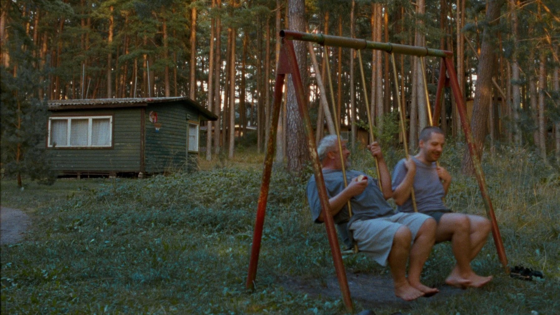 The Visitor