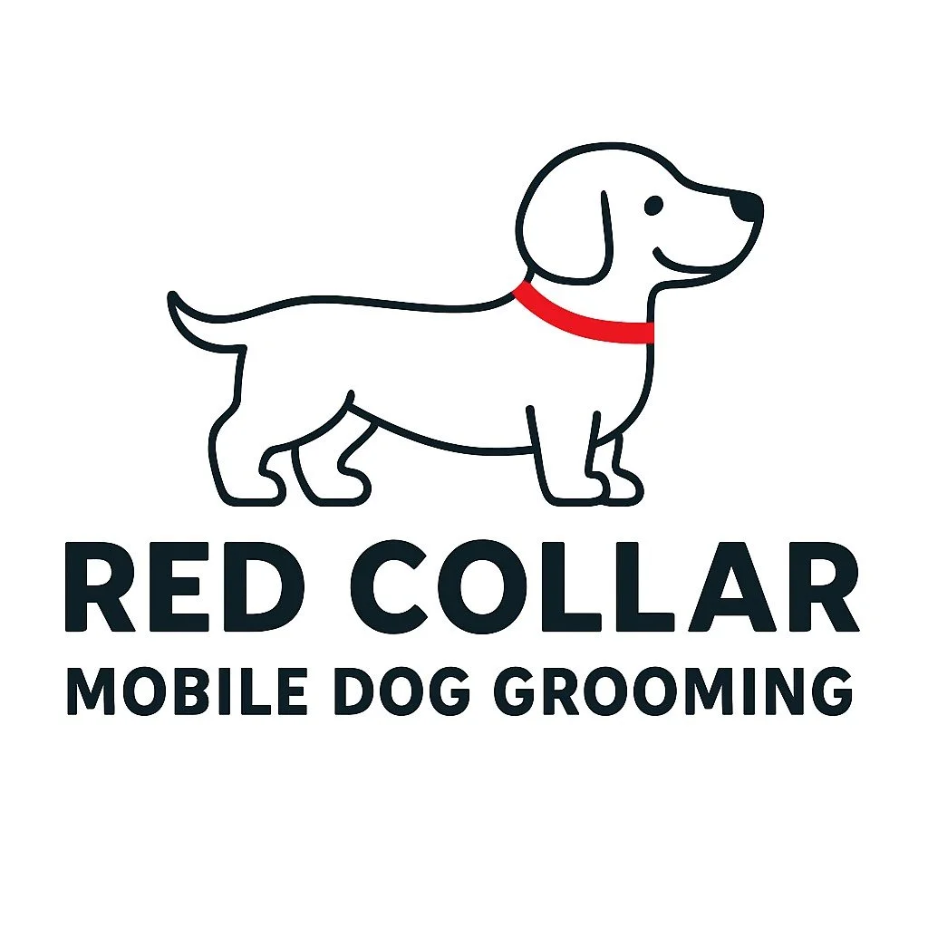 Logo of a cartoon dog with a red collar, along with the text "RED COLLAR MOBILE DOG GROOMING" underneath.