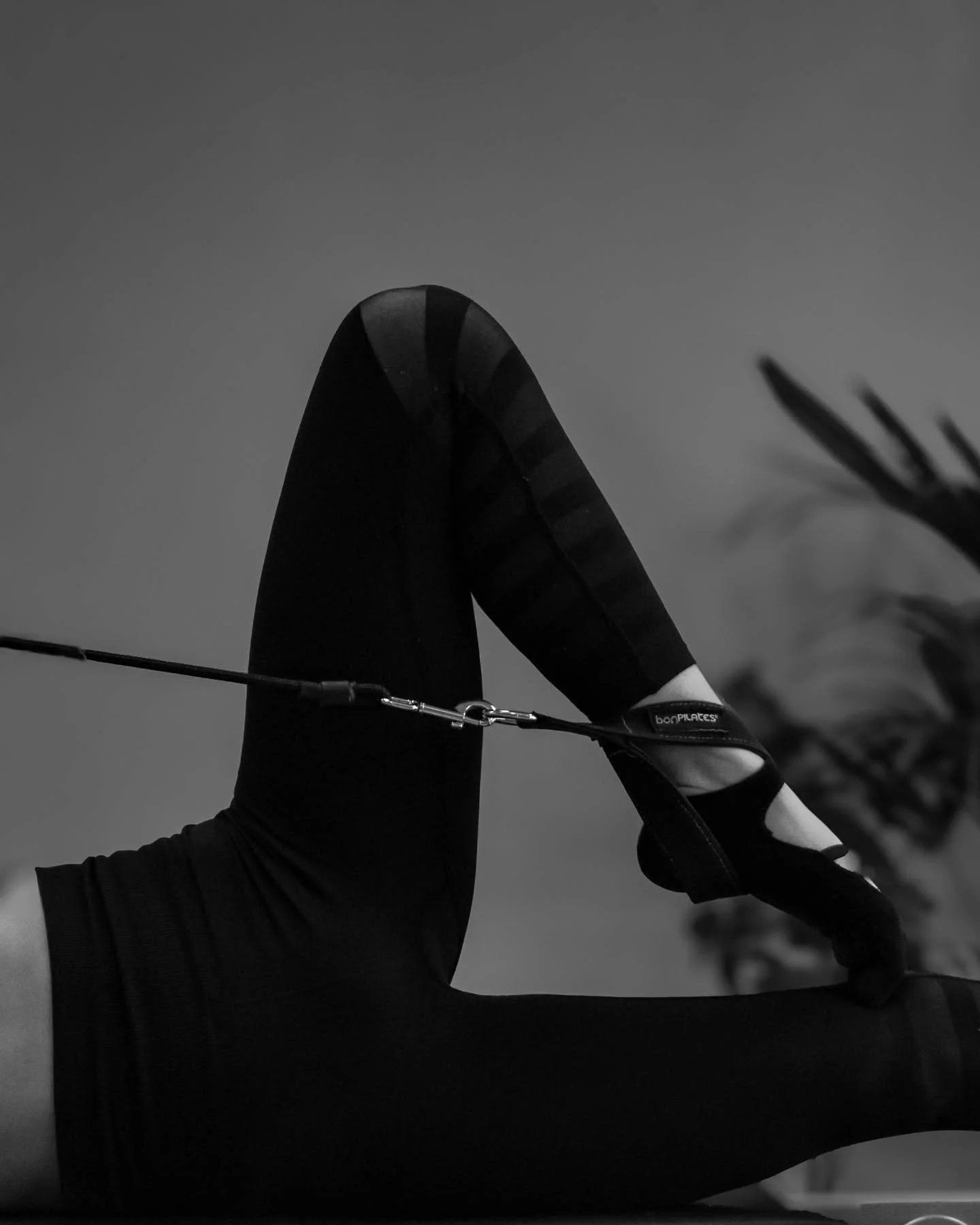 Bienvenid@s a Bloom Estudio 💜
Un espacio donde el movimiento se vive con calma, energ&iacute;a y prop&oacute;sito.
En el coraz&oacute;n de Collado Villalba, te acompa&ntilde;amos a fortalecer tu cuerpo, cuidar tu bienestar y disfrutar de una activid