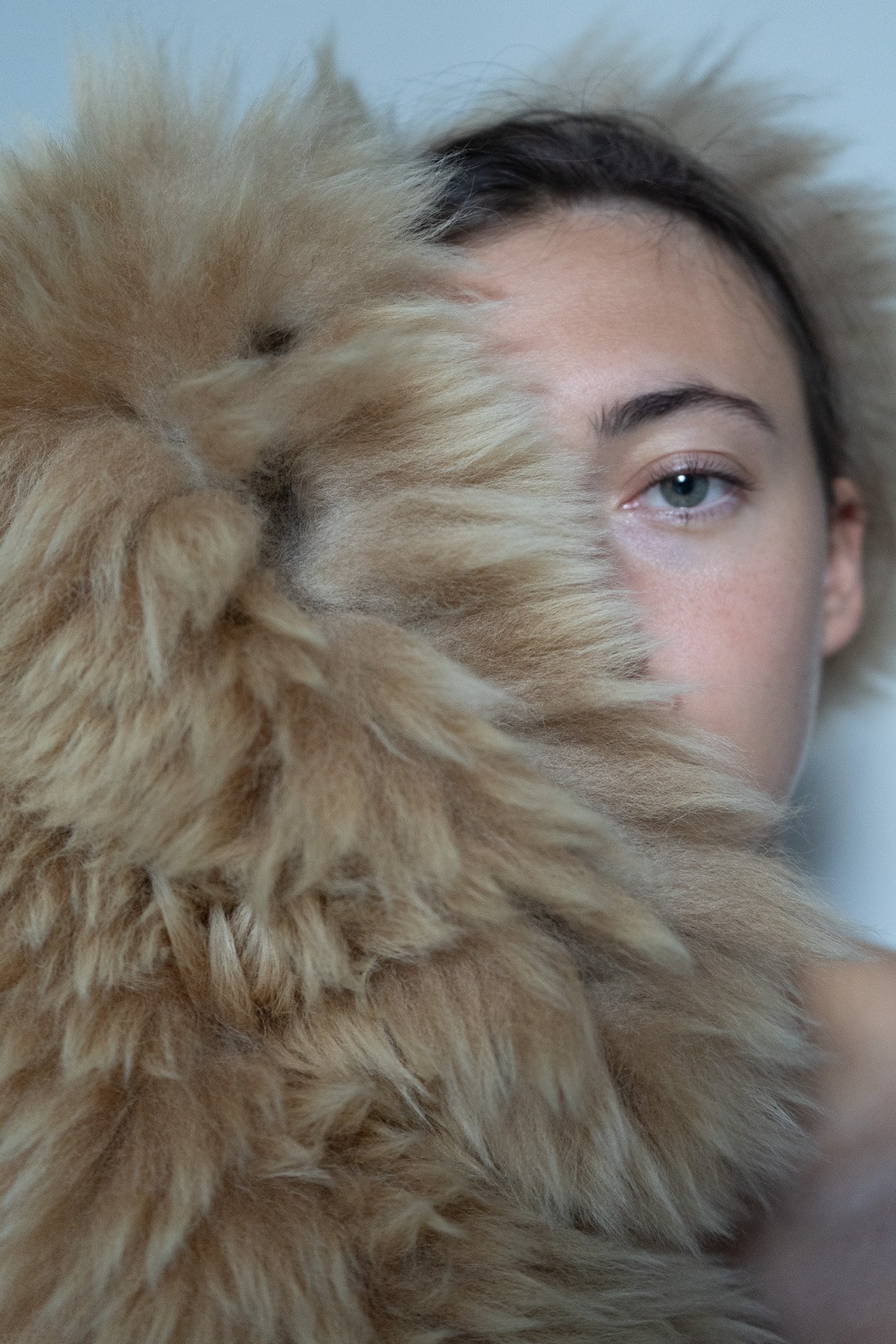 A person with dark hair and blue eyes partially covered by a large, fluffy, orange and cream-colored cat.