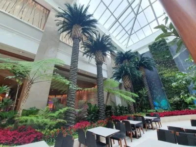 PI 30-ft-Preserved-Palms-shown-in-Hotel.jpg