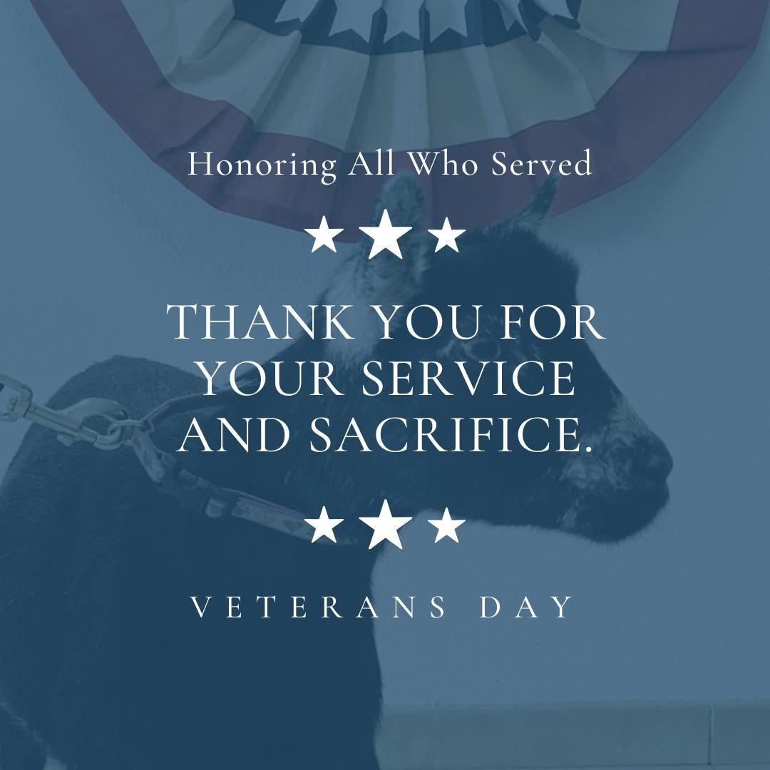 For the veteran, thank you for bravely doing what you&rsquo;re called to do so we can safely do what we&rsquo;re free to .

#spoiledpygmybabies #spoiledminispygmygoats #thespoiledminisranch #spoiled #followusnow #the #spoiledpygmygoats #pygmygoats #m