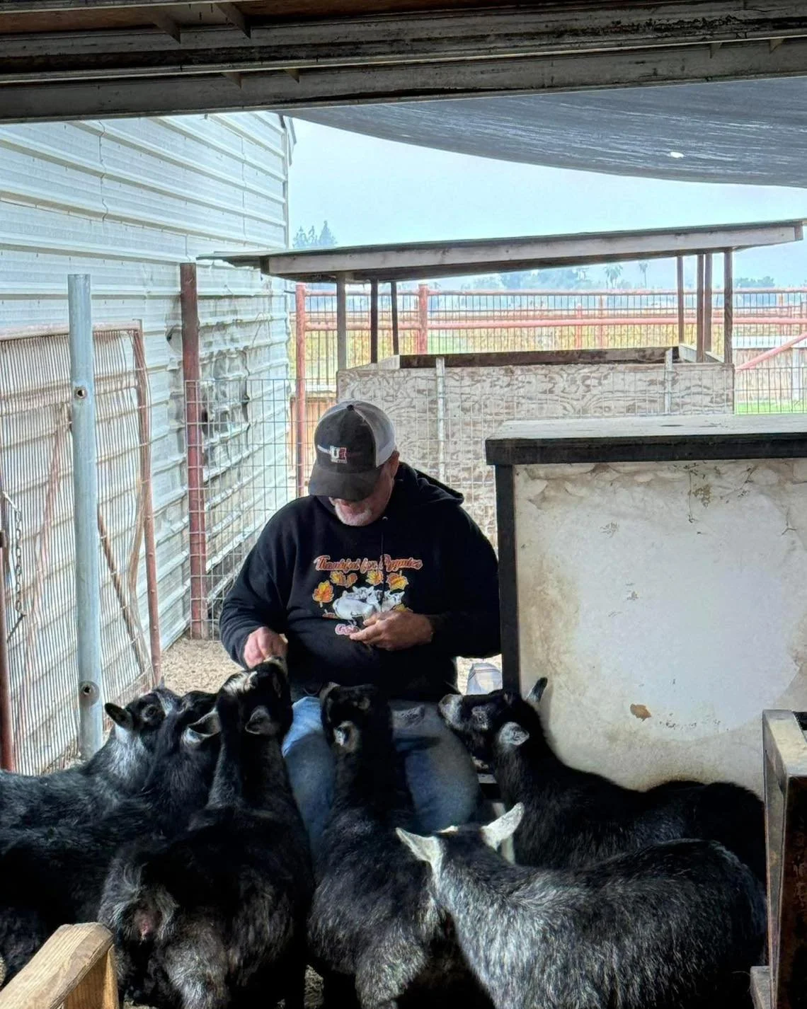 Daddy is being invaded 😂 He said &quot;Tammi said she doesn't have very many that likes peanuts anymore, that's because they are all here❤️😍❤️😍❤️&quot; 

😂🤣😂