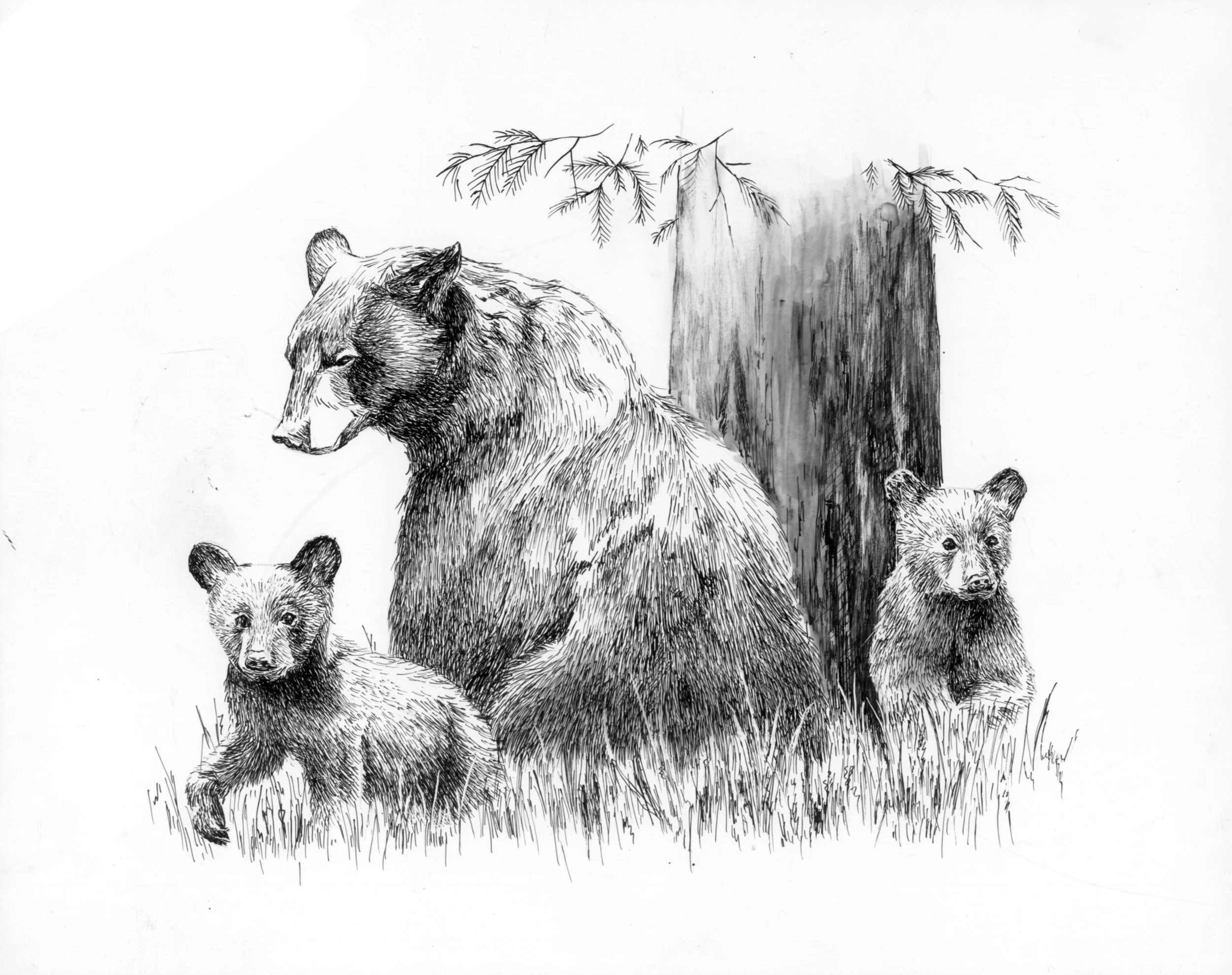 leech_taylor_familyofbears_8x10.jpg