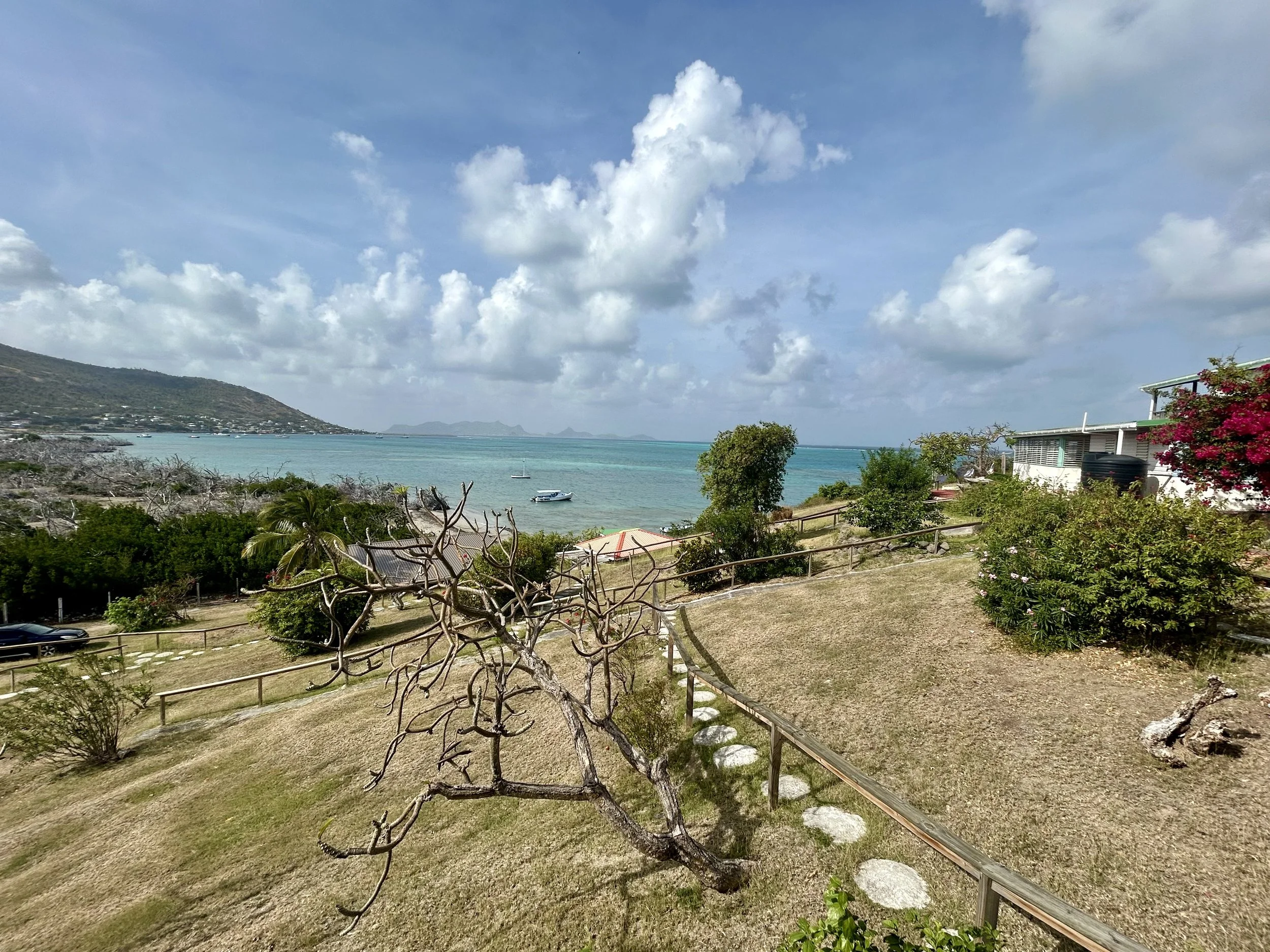 Scenic view of a tropical coastal landscape with a grassy area, trees, a few buildings, blue ocean with boats, and a partly cloudy sky.
